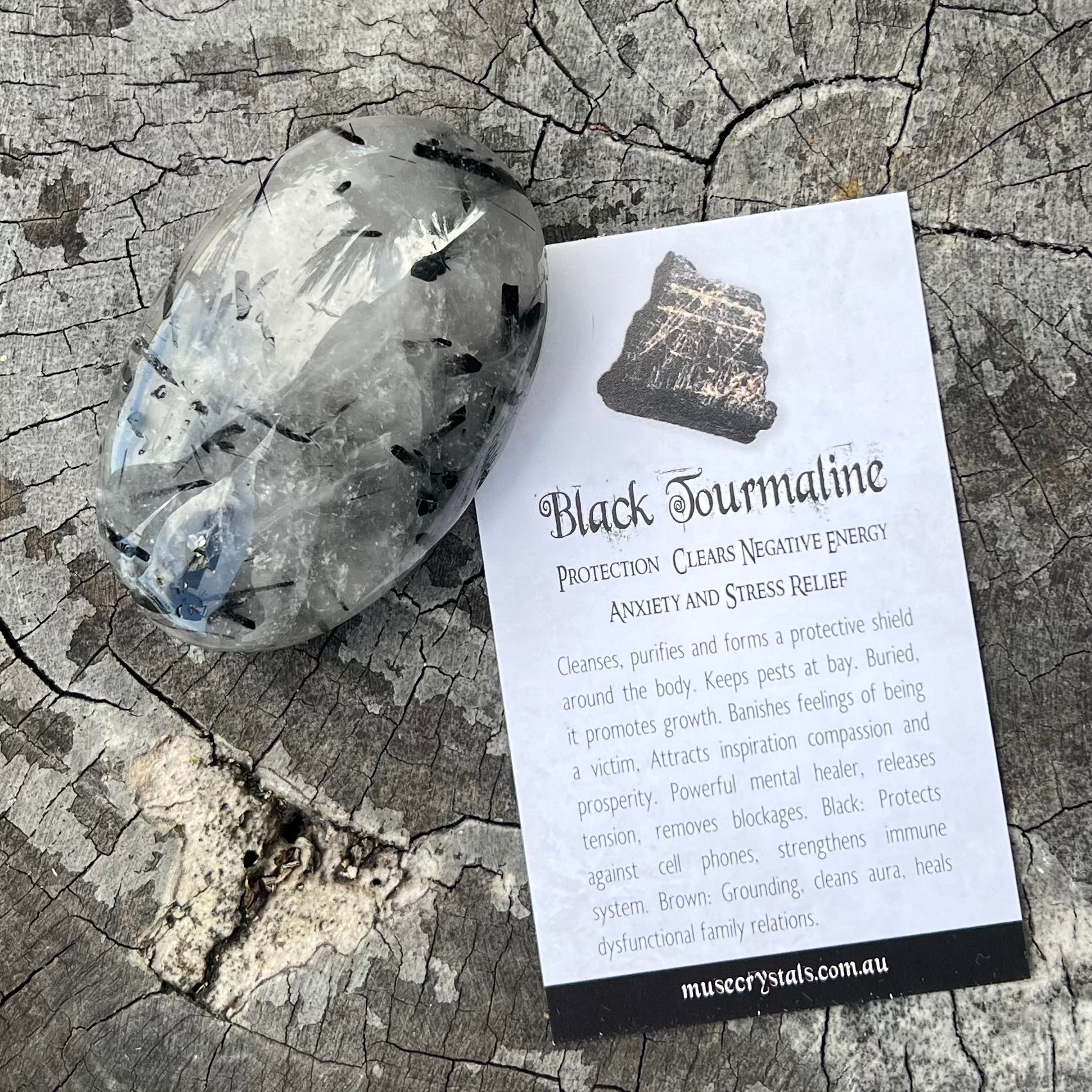 Black Tourmaline in Quartz Palm Stone