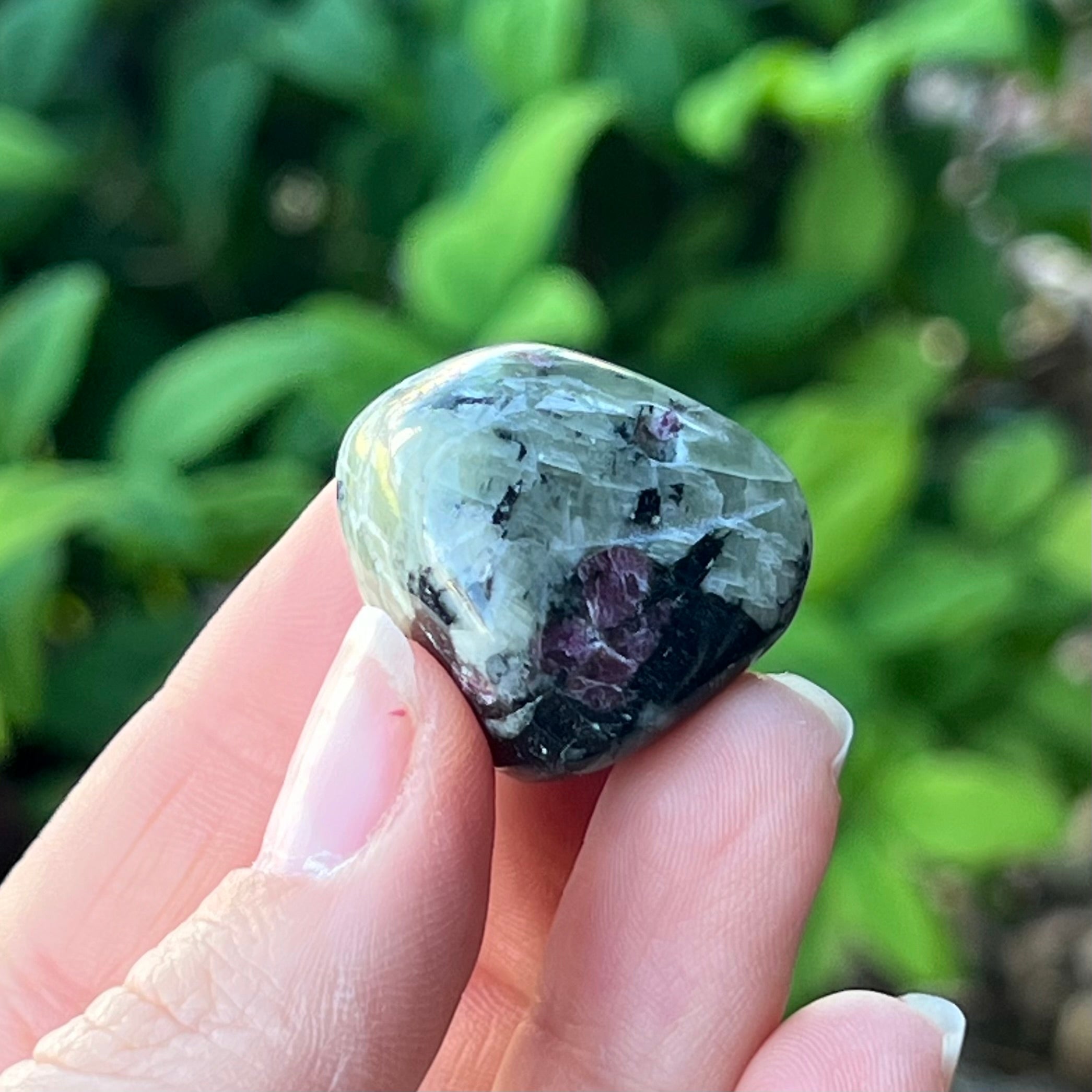 Eudialyte ~ Specialty Boxed Crystal