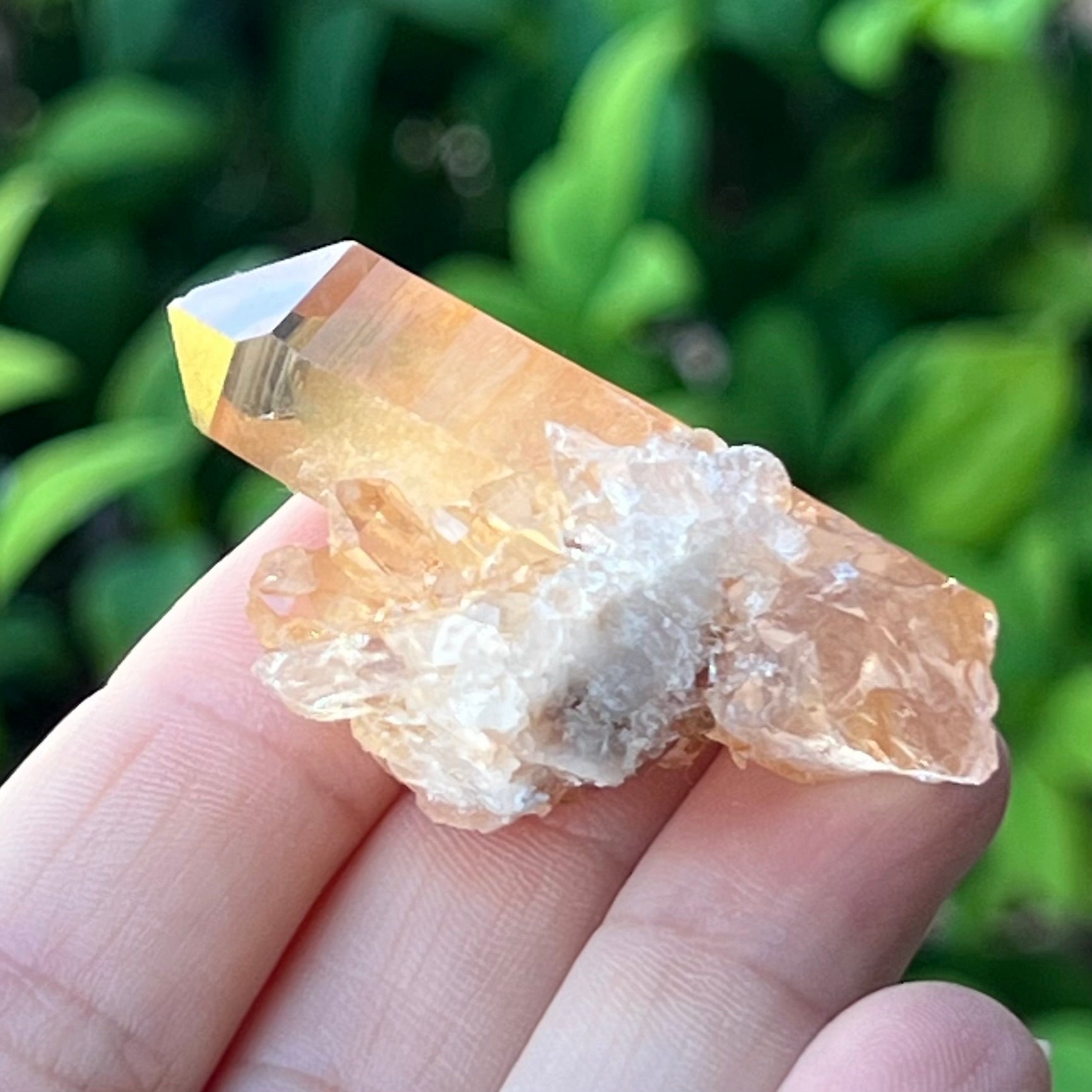 Tangerine Quartz ~ Specialty Boxed Crystal