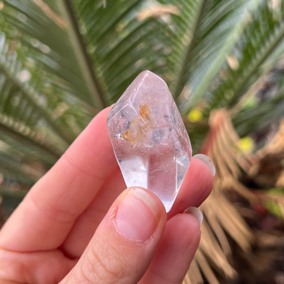 Herkimer Diamond Polished ~ Specialty Crystal ~ 1