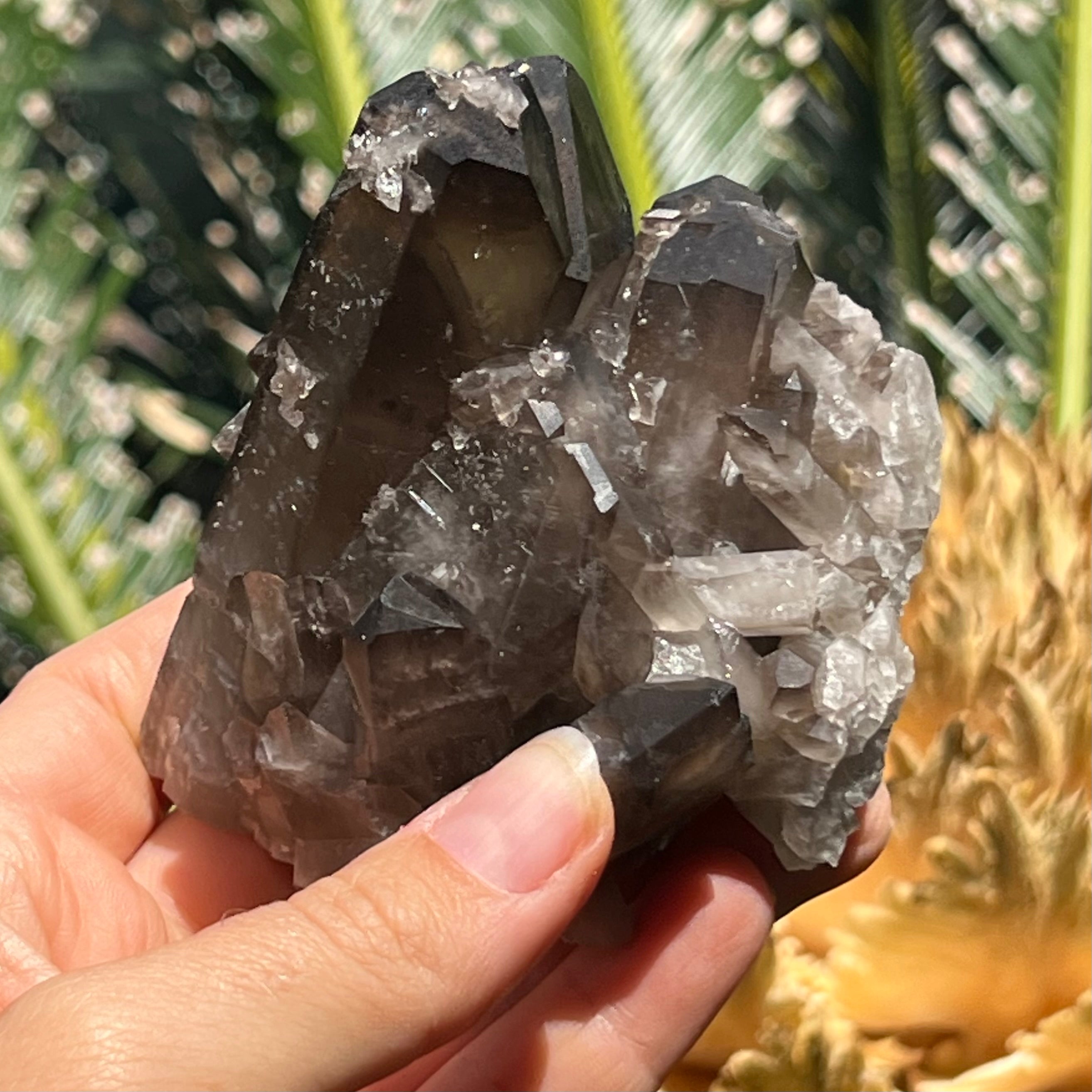 Smokey Quartz Cluster