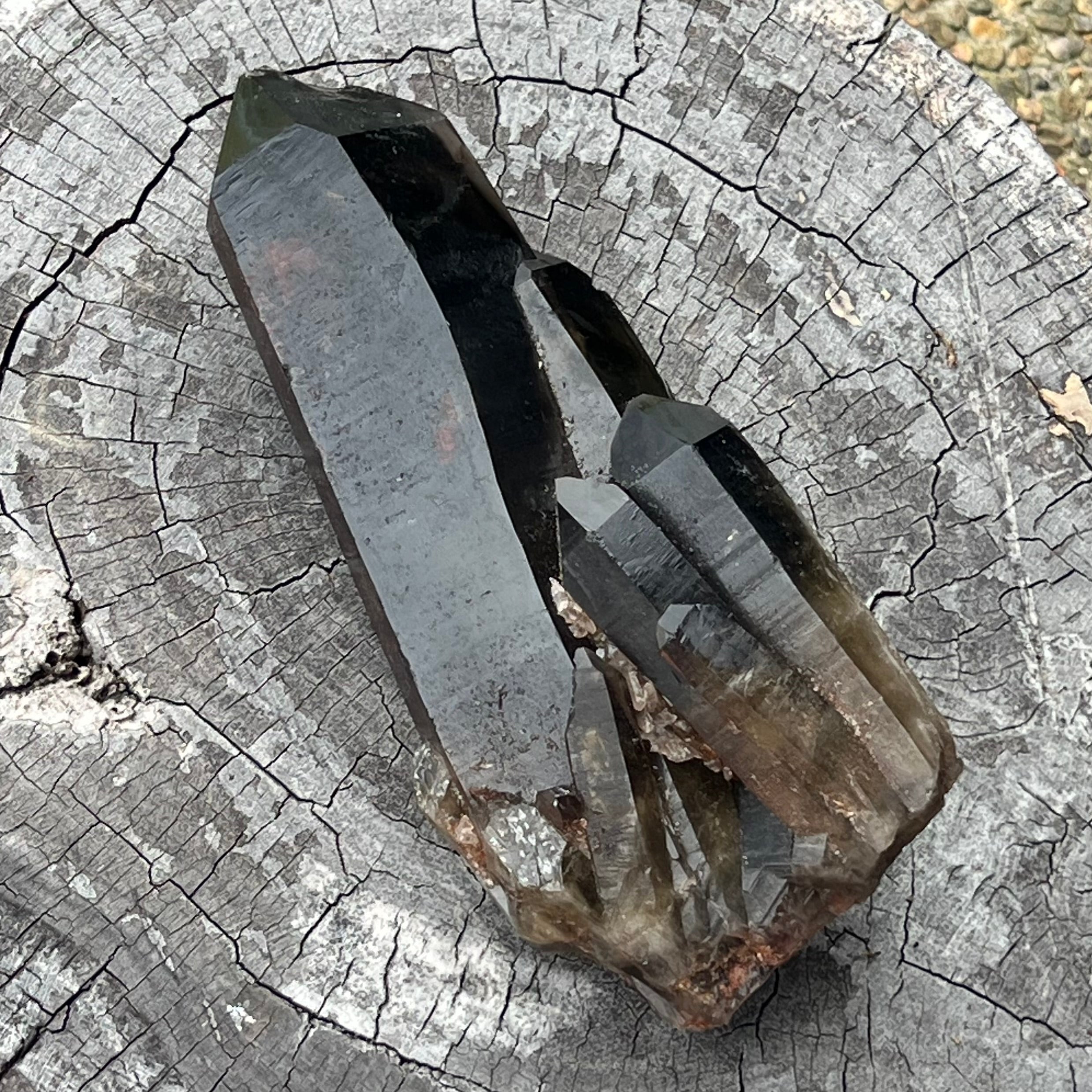 Smoky Quartz ~ Natural Point Cluster