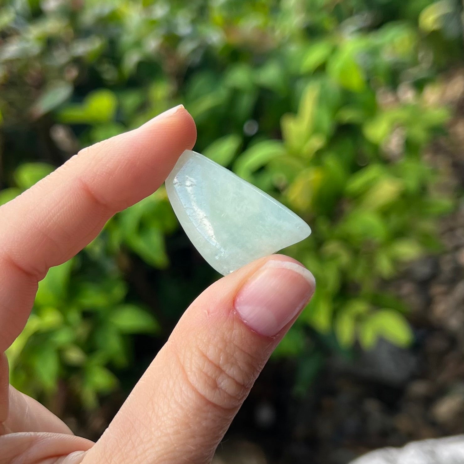 Aquamarine ~ Specialty Boxed Crystal