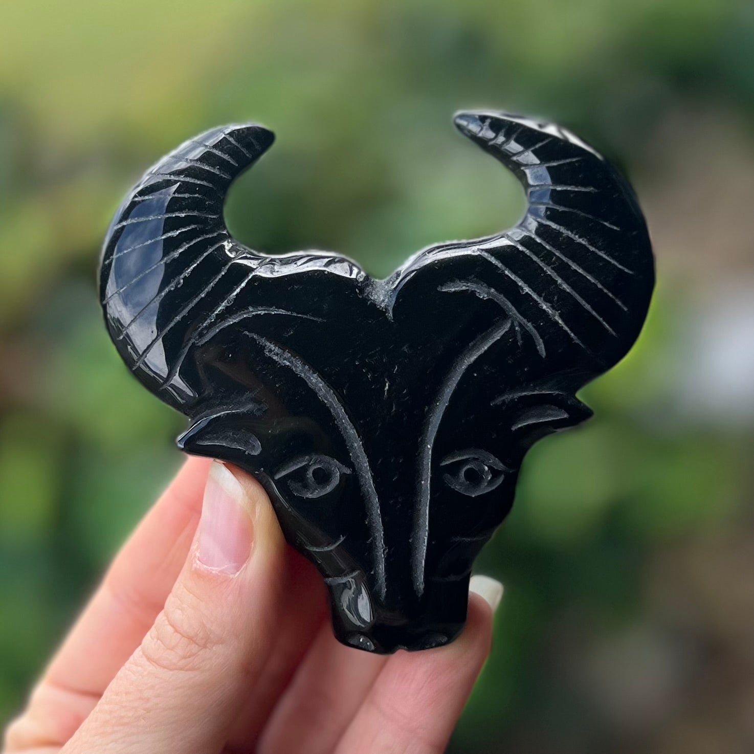 Black Obsidian Ox