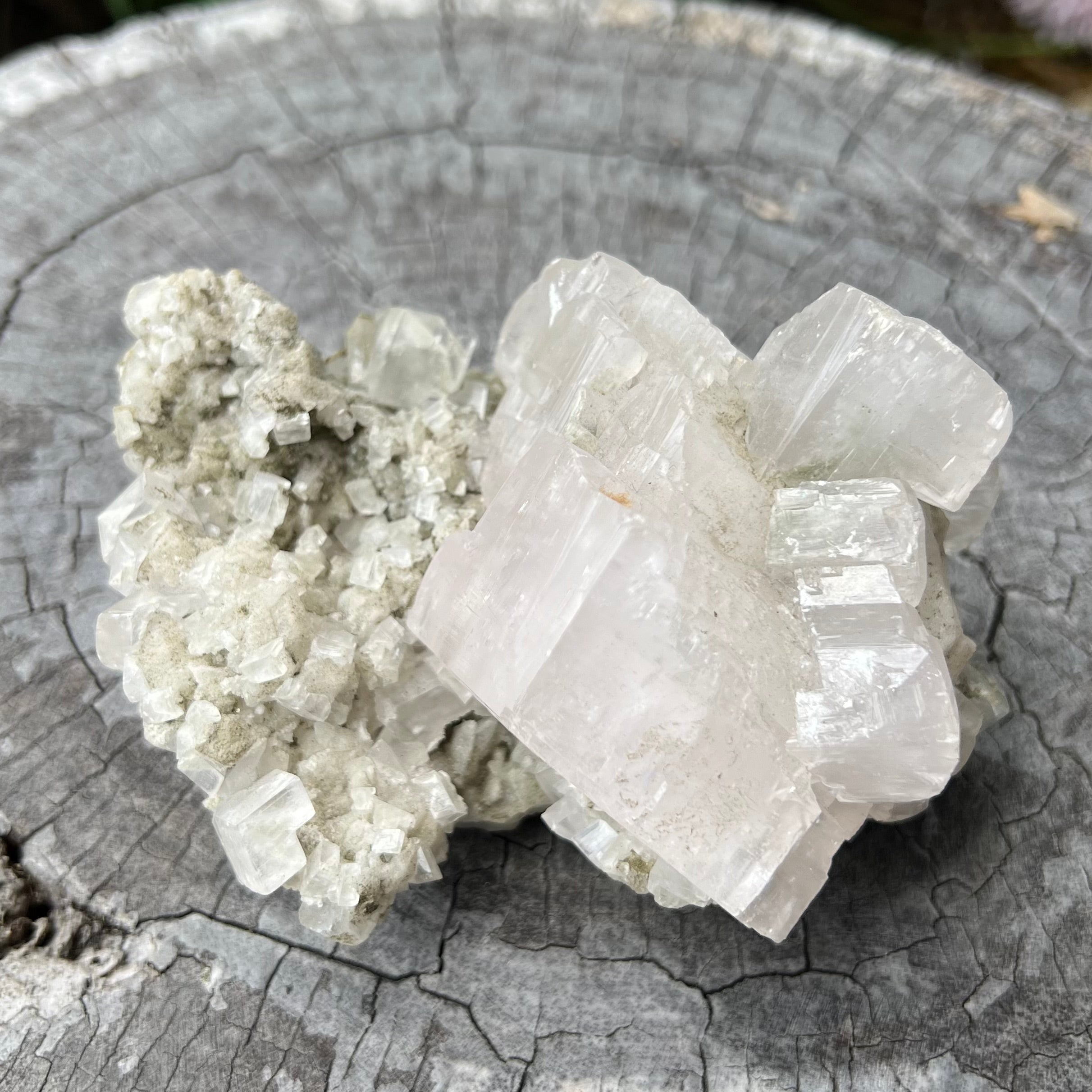 Apophyllite Cluster