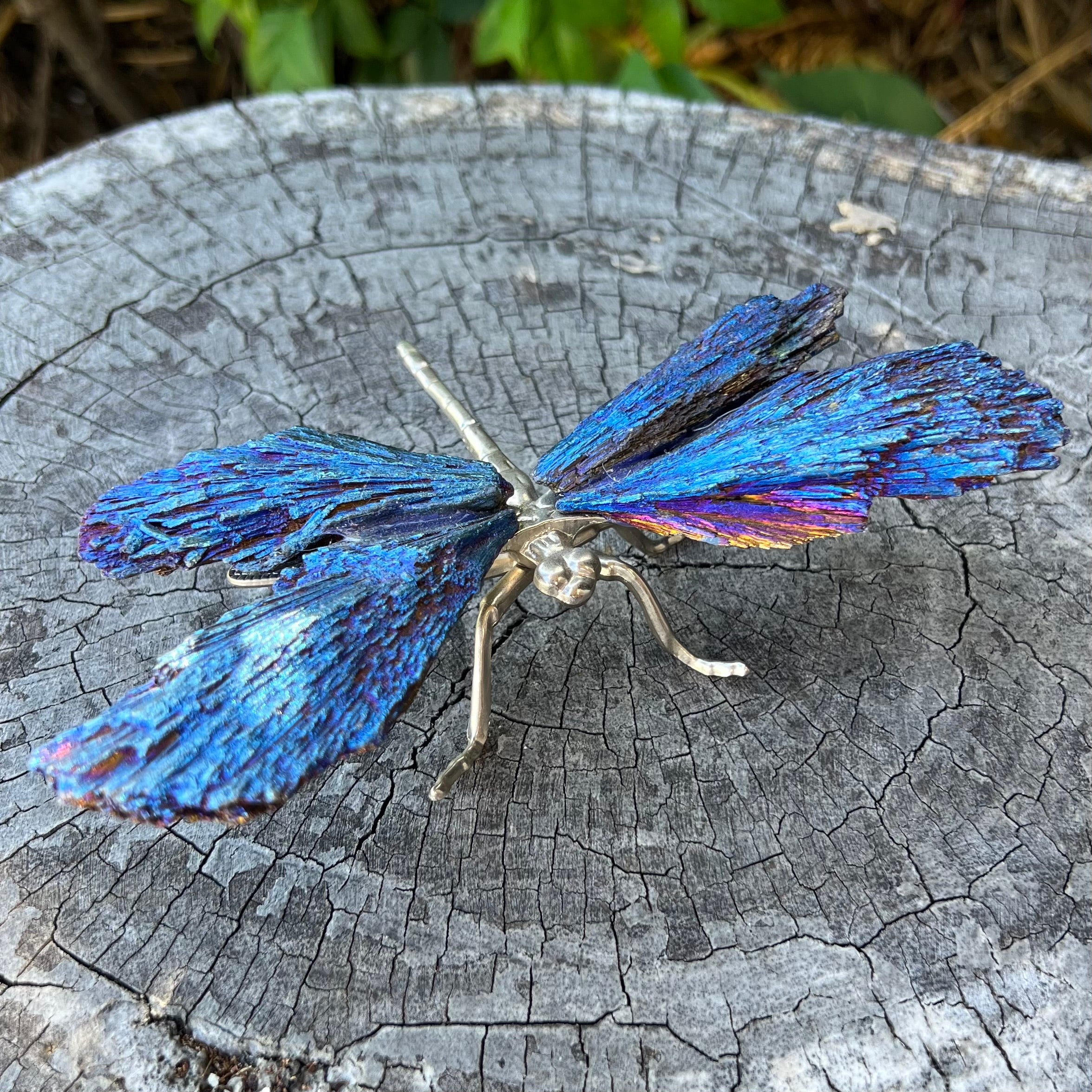 Dragon Fly ~ Blue Kyanite Electroplate