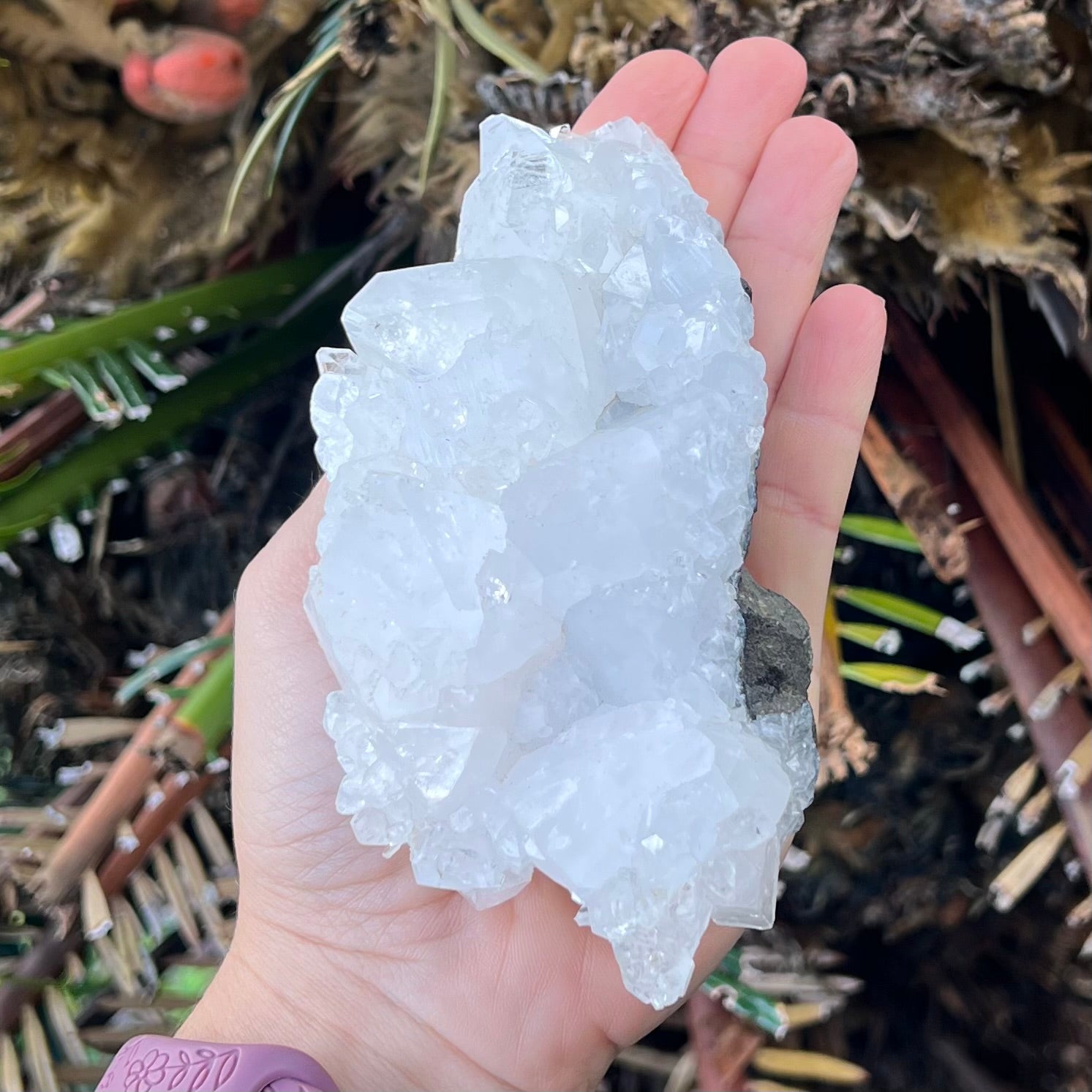Apophylite Cluster