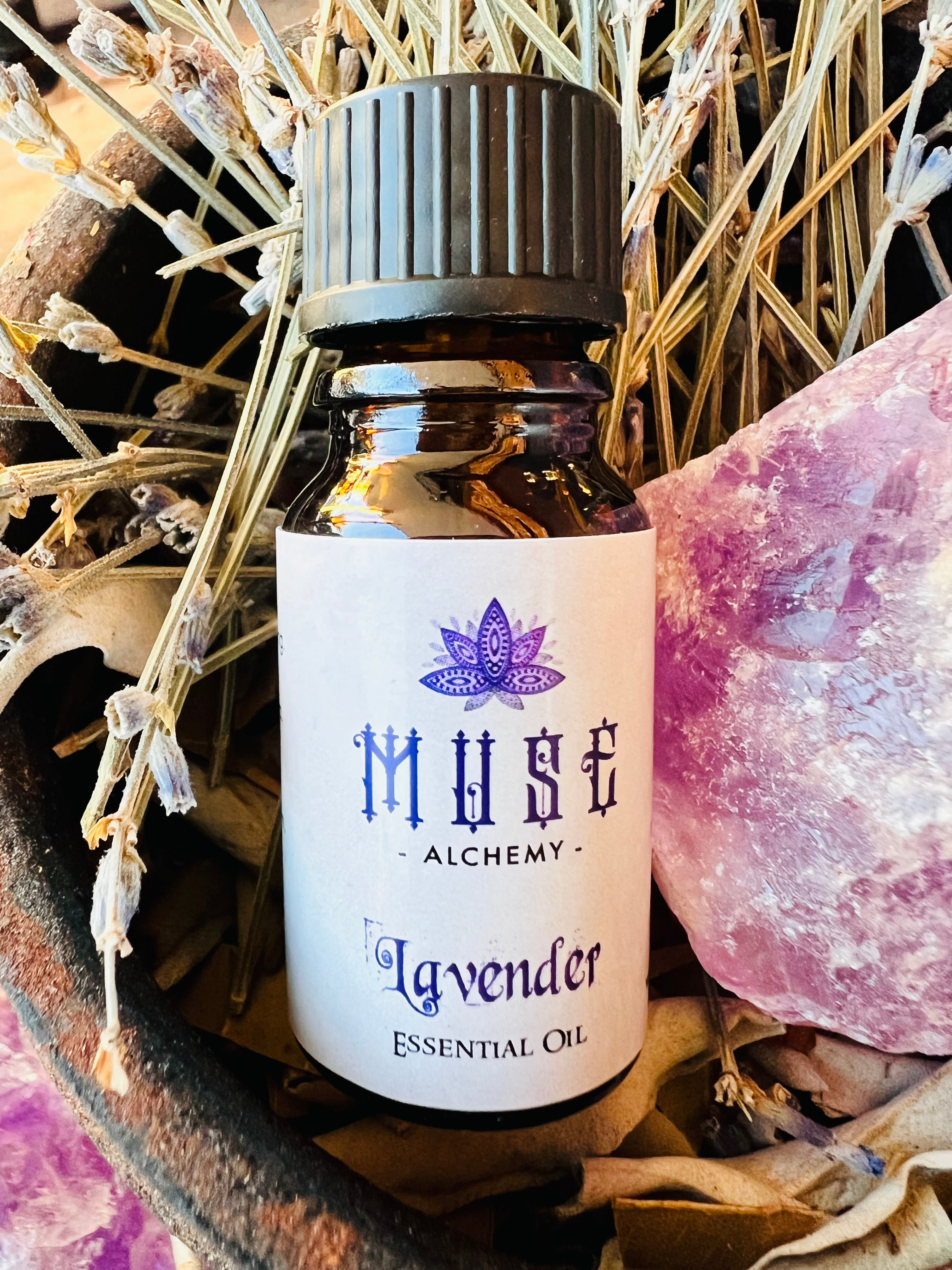 Muse Alchemy ~ Lavender Essential Oil 10ml