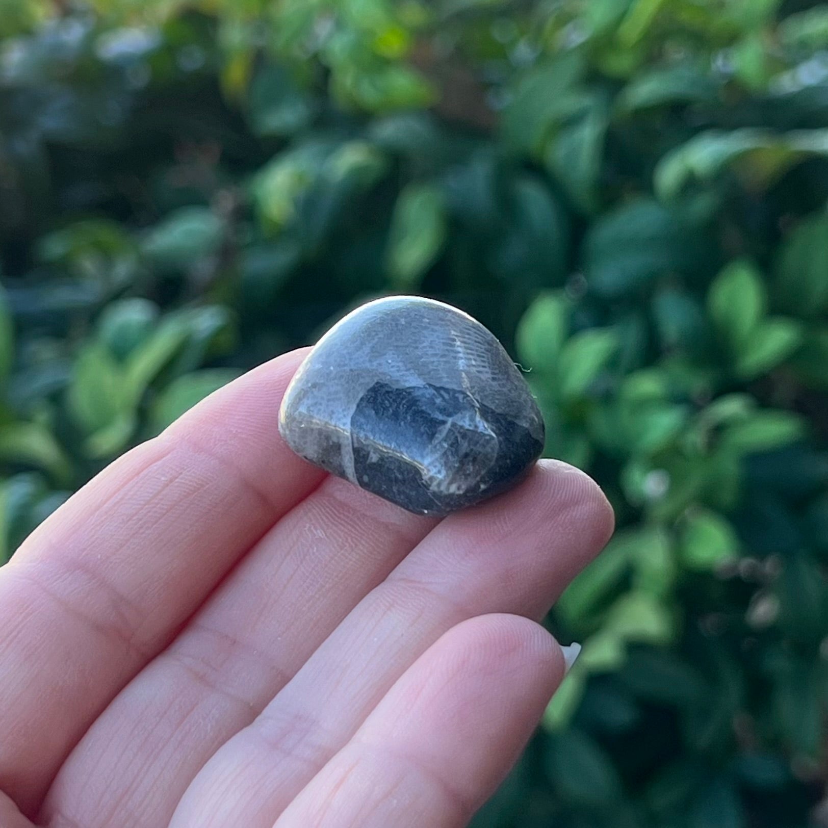 Vatican Stone ~ Specialty Boxed Crystal