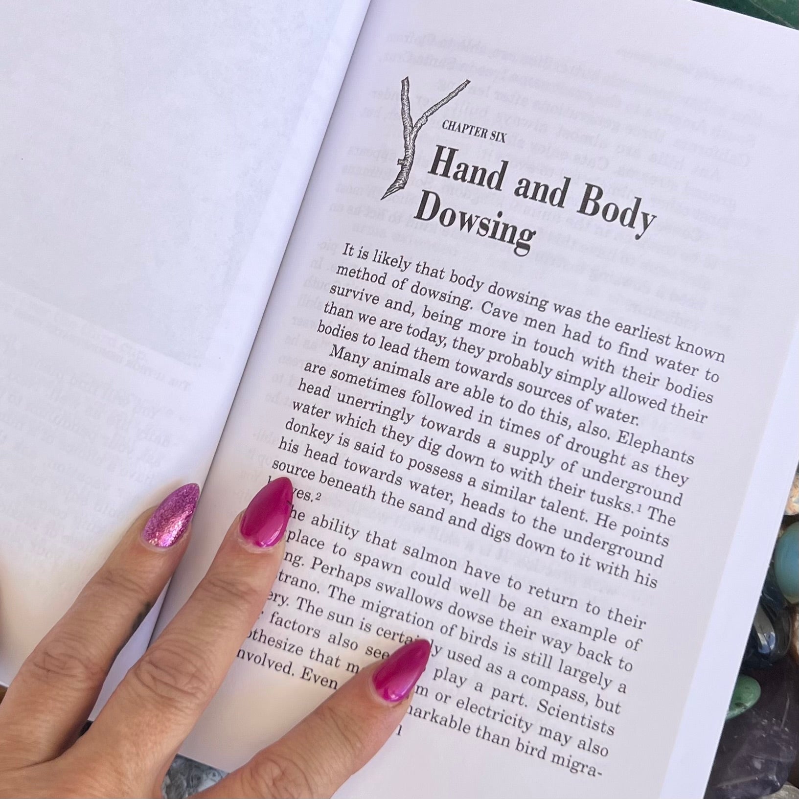 Dowsing For Beginners