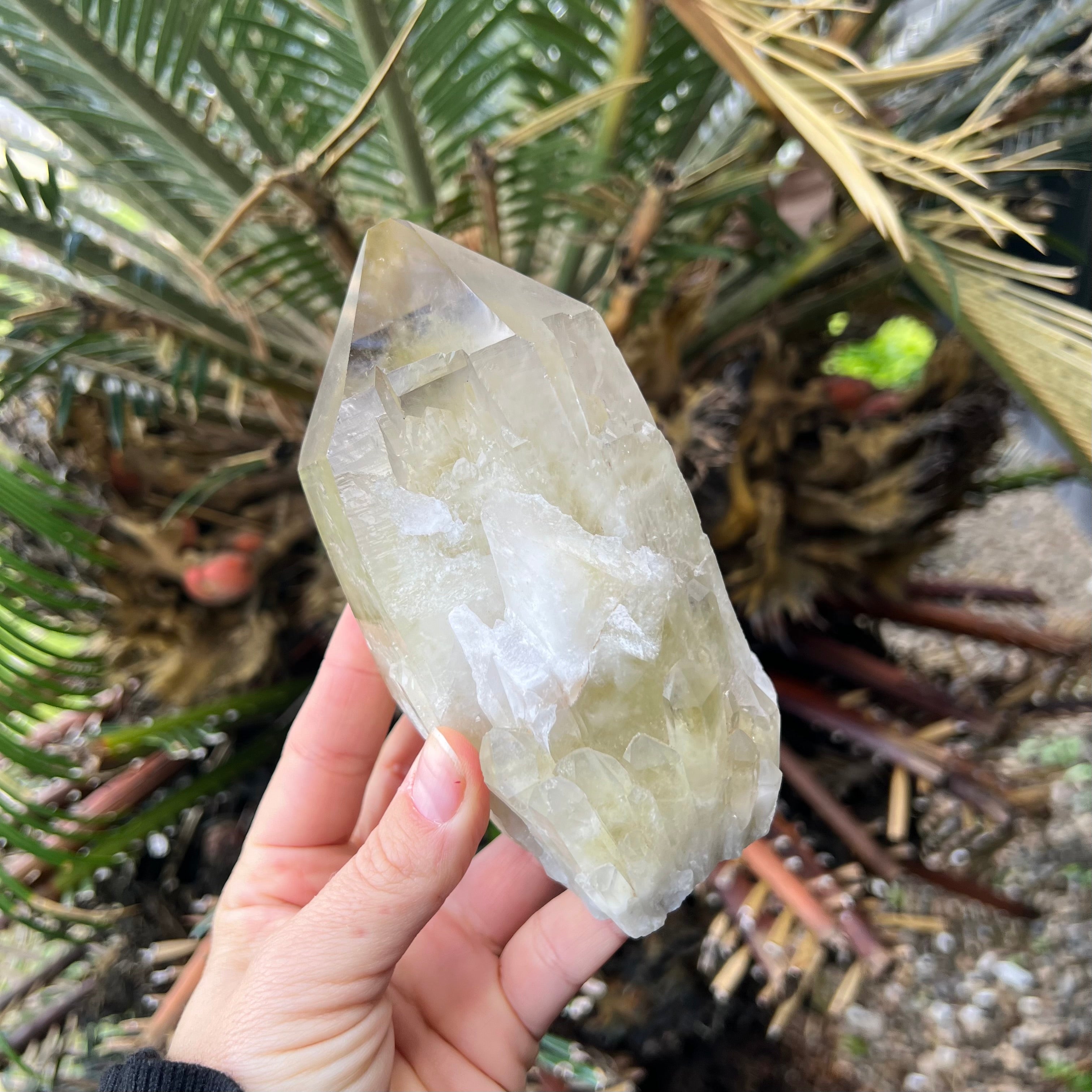 Kundalini Citrine~ Specialty Crystal