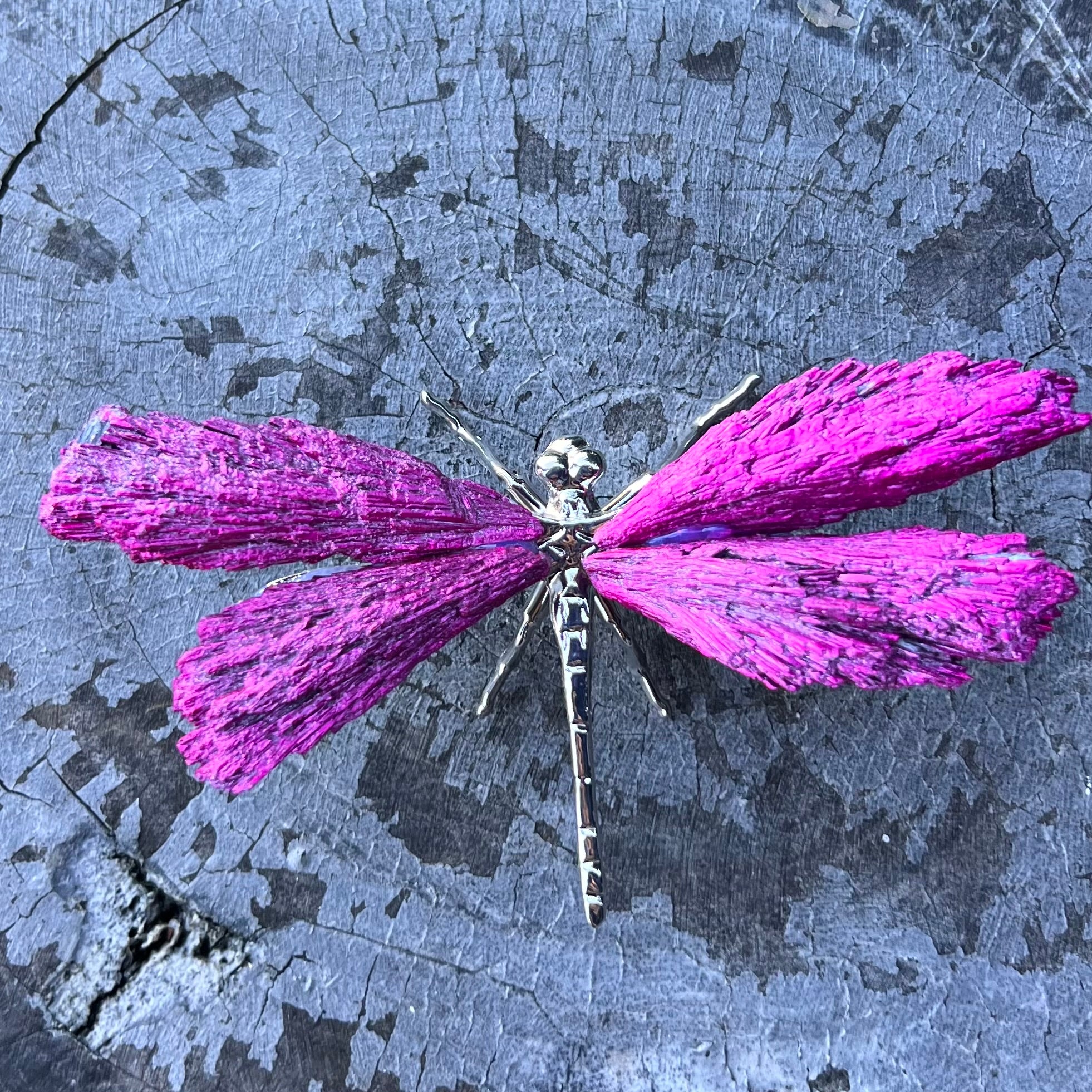 Dragon Fly ~ Kyanite Electroplate ~ Pink