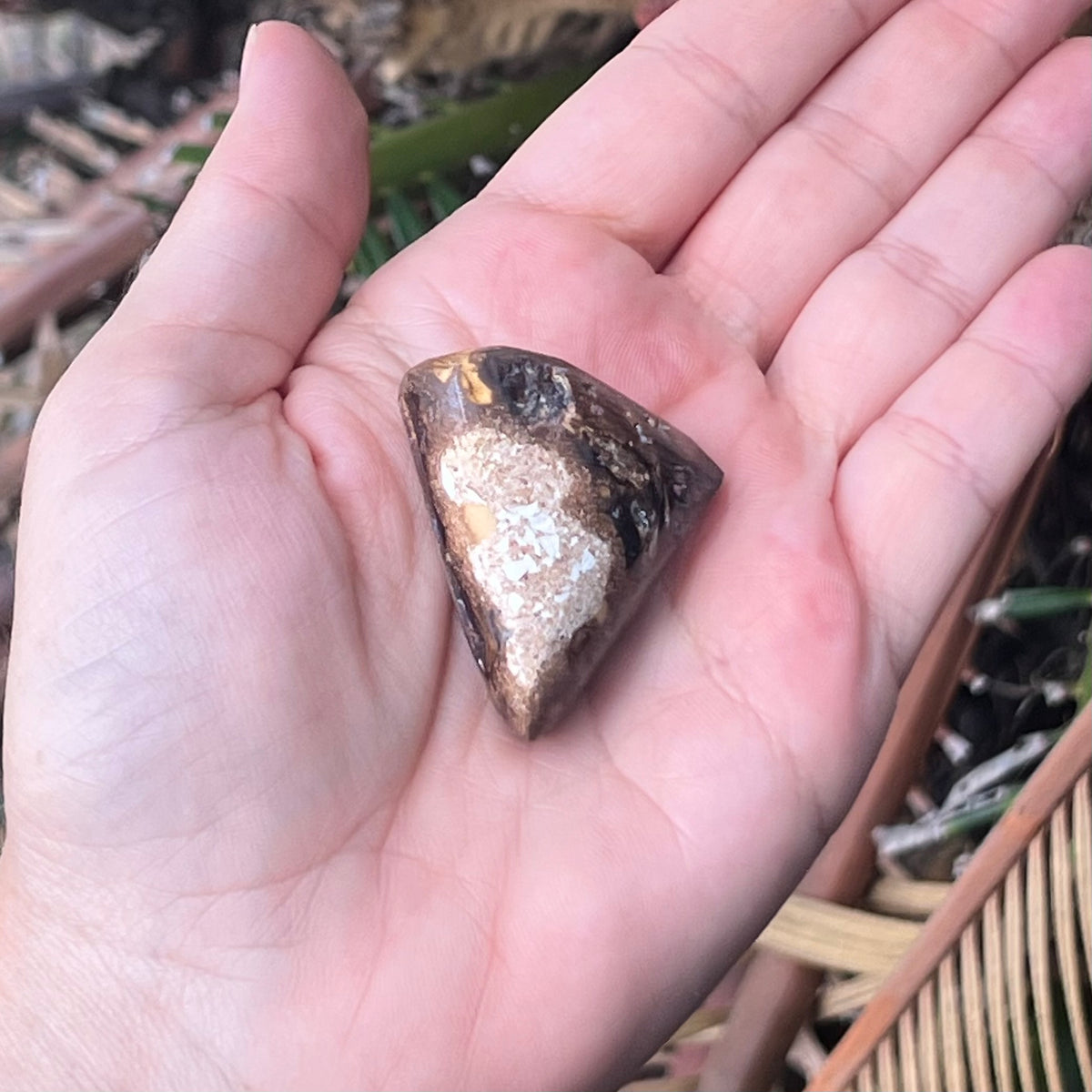 Opal ~ Specialty Crystal