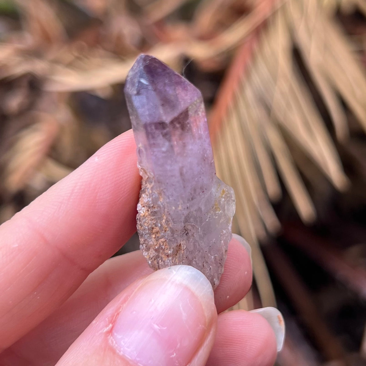 Brandenburg Amethyst ~ Specialty Boxed Crystal