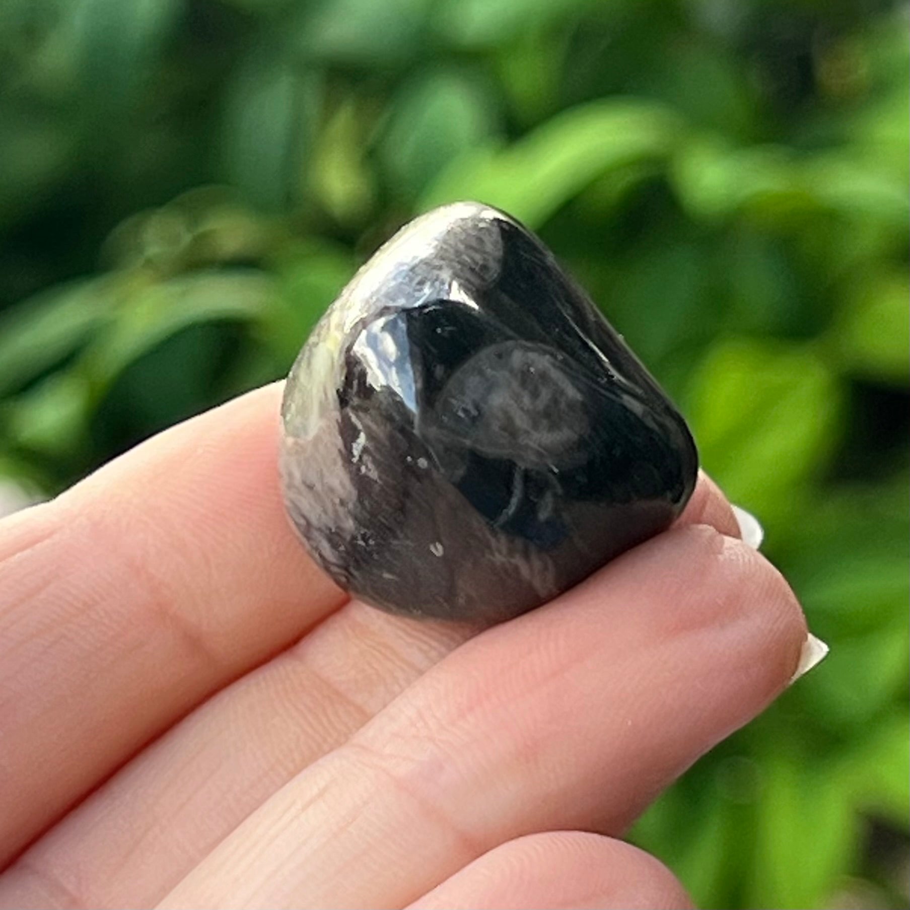 Vatican Stone ~ Specialty Boxed Crystal