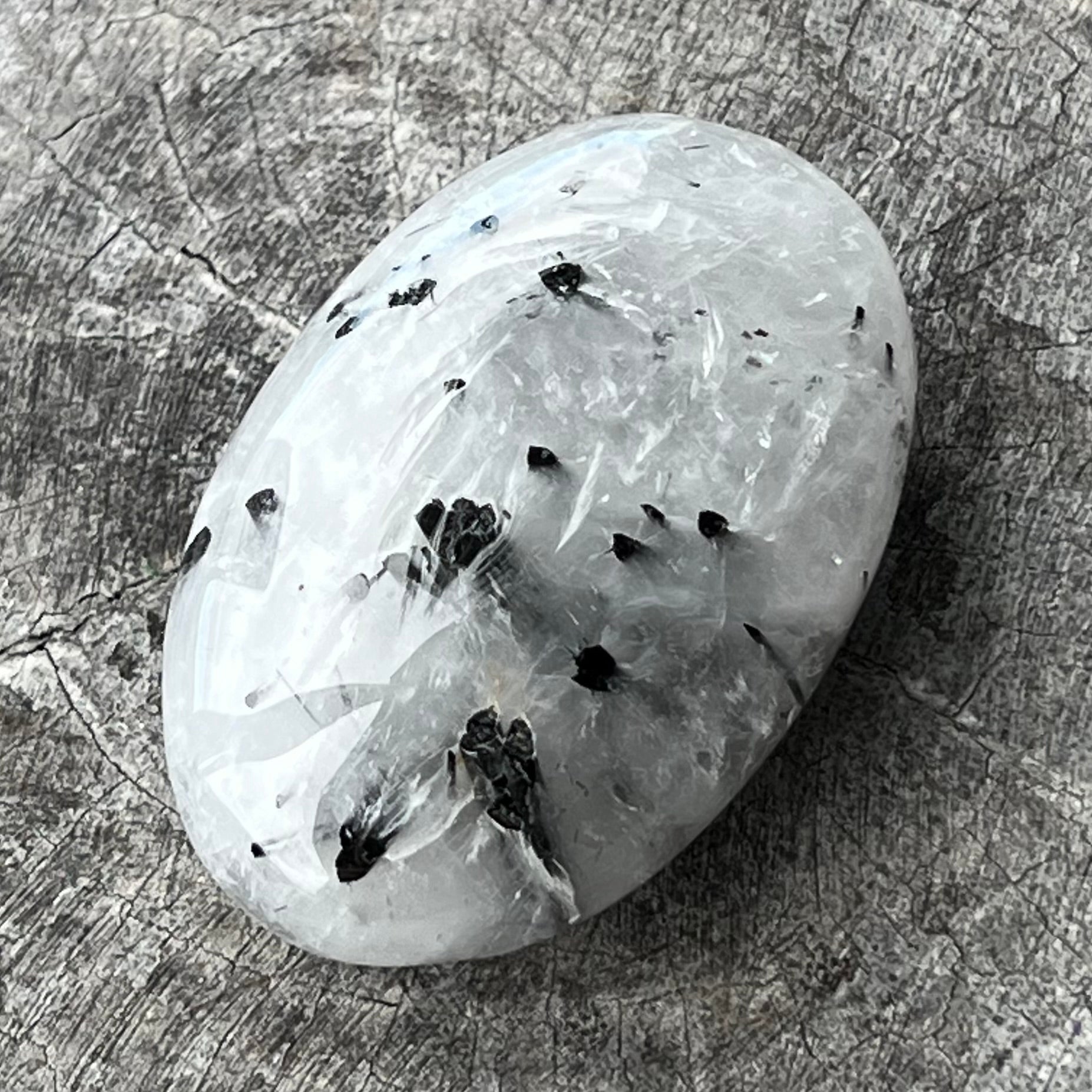 Black Tourmaline in Quartz Palm Stone