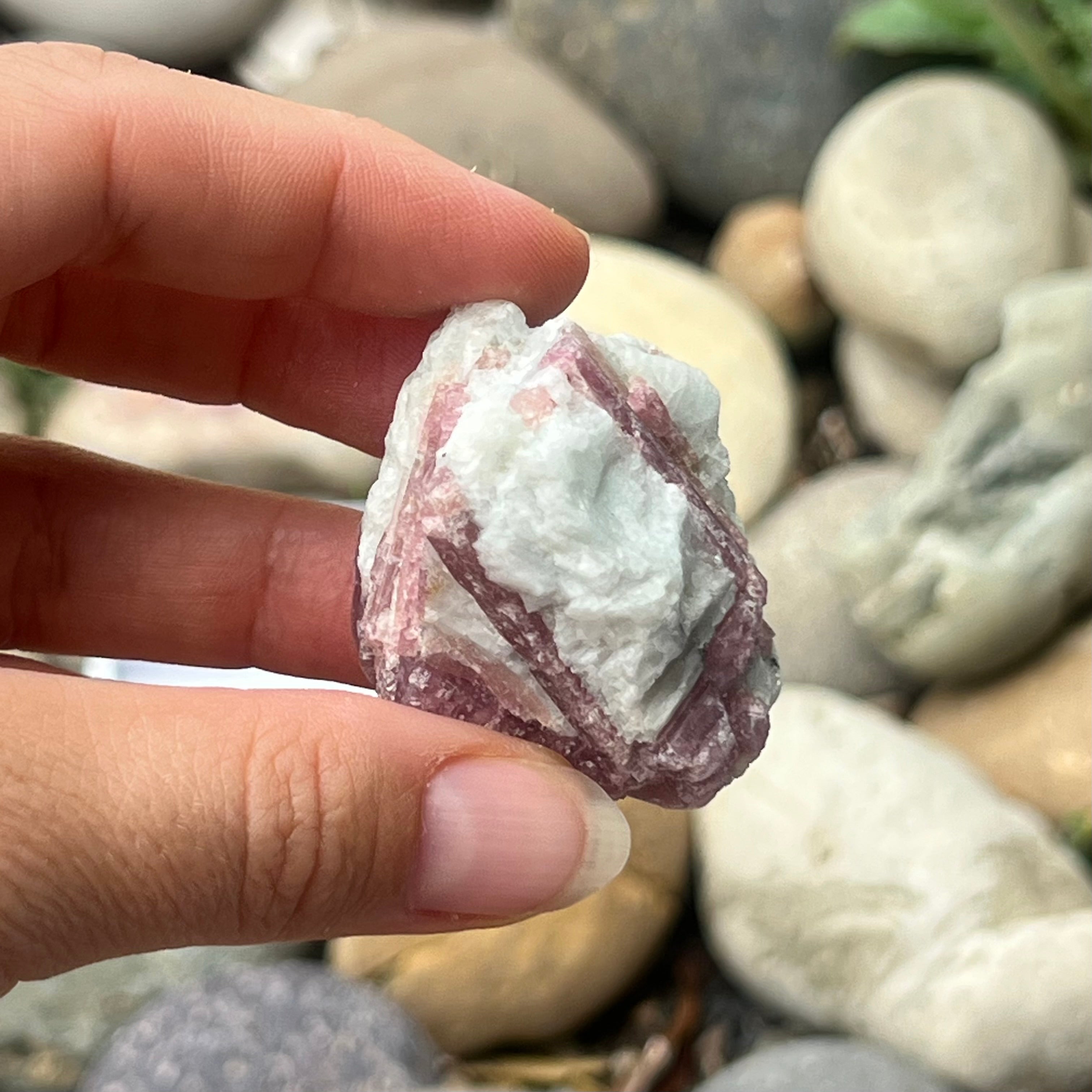 Raw Pink Tourmaline ~ Specialty Boxed Crystal