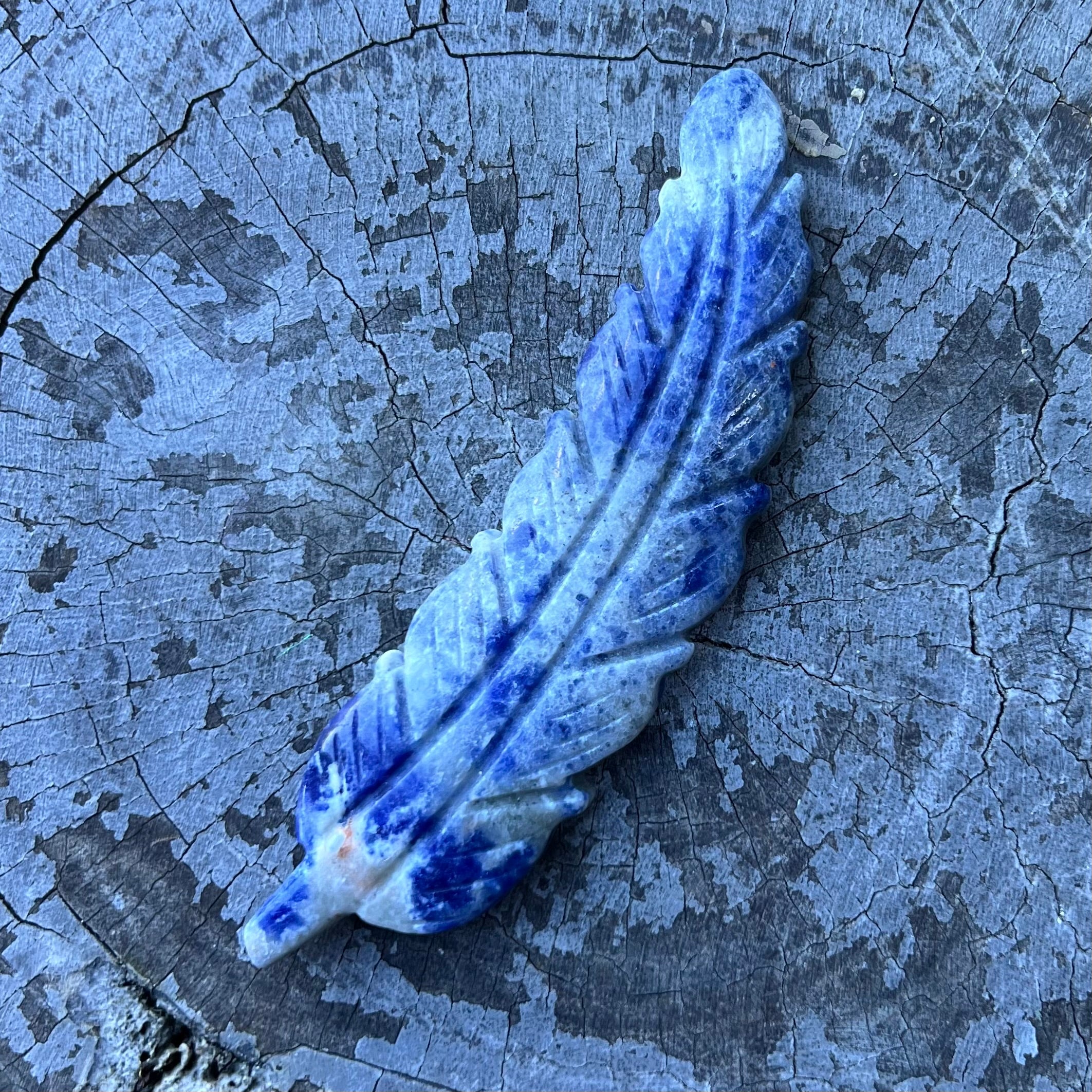 Feather of Intuition & Inner Truth ~ Sodalite