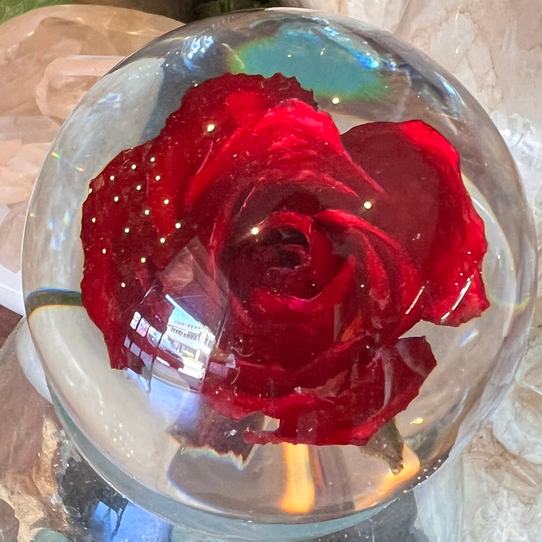 Red Rose Everlasting Flower Sphere