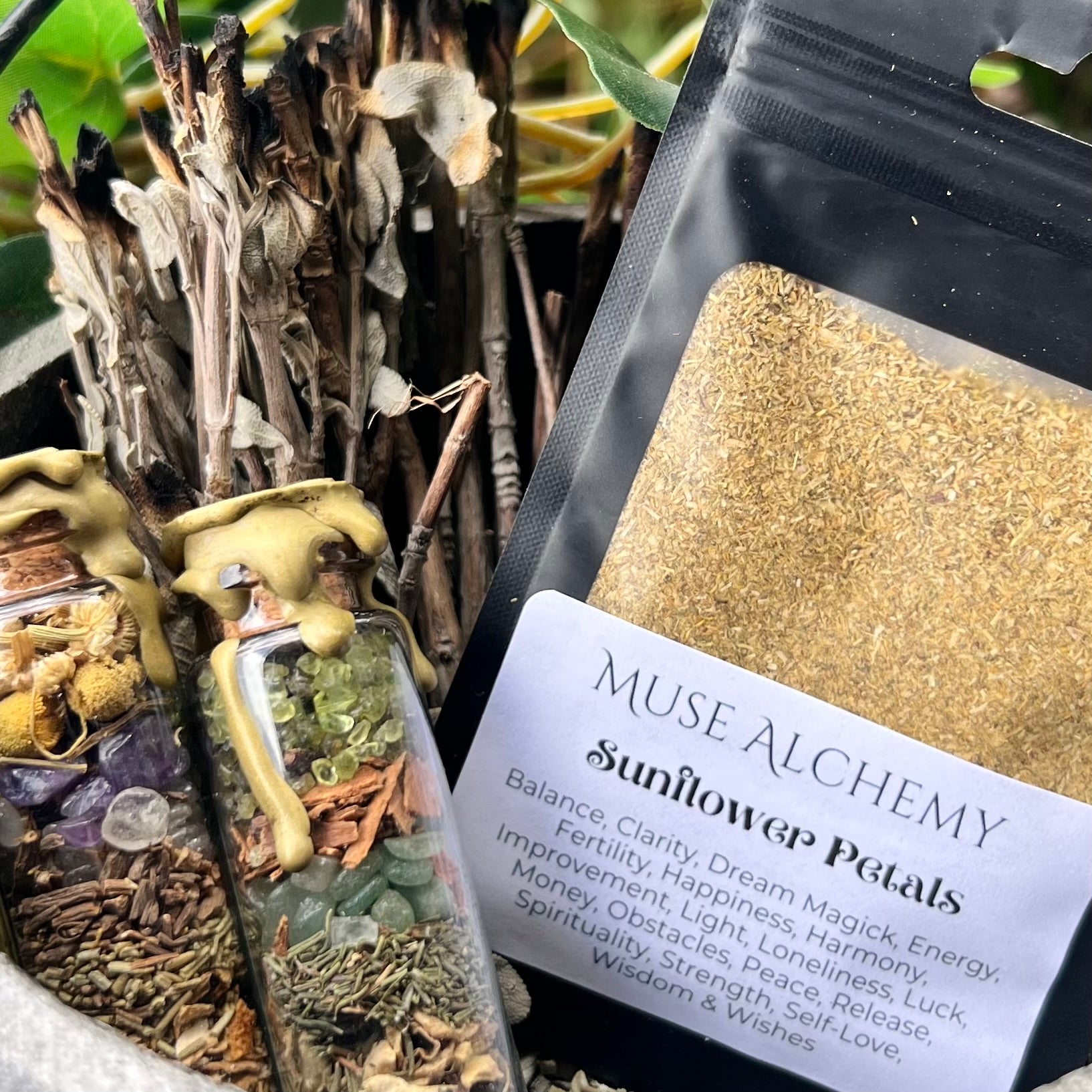 Sunflower Petals ~ Muse Alchemy Botanicals