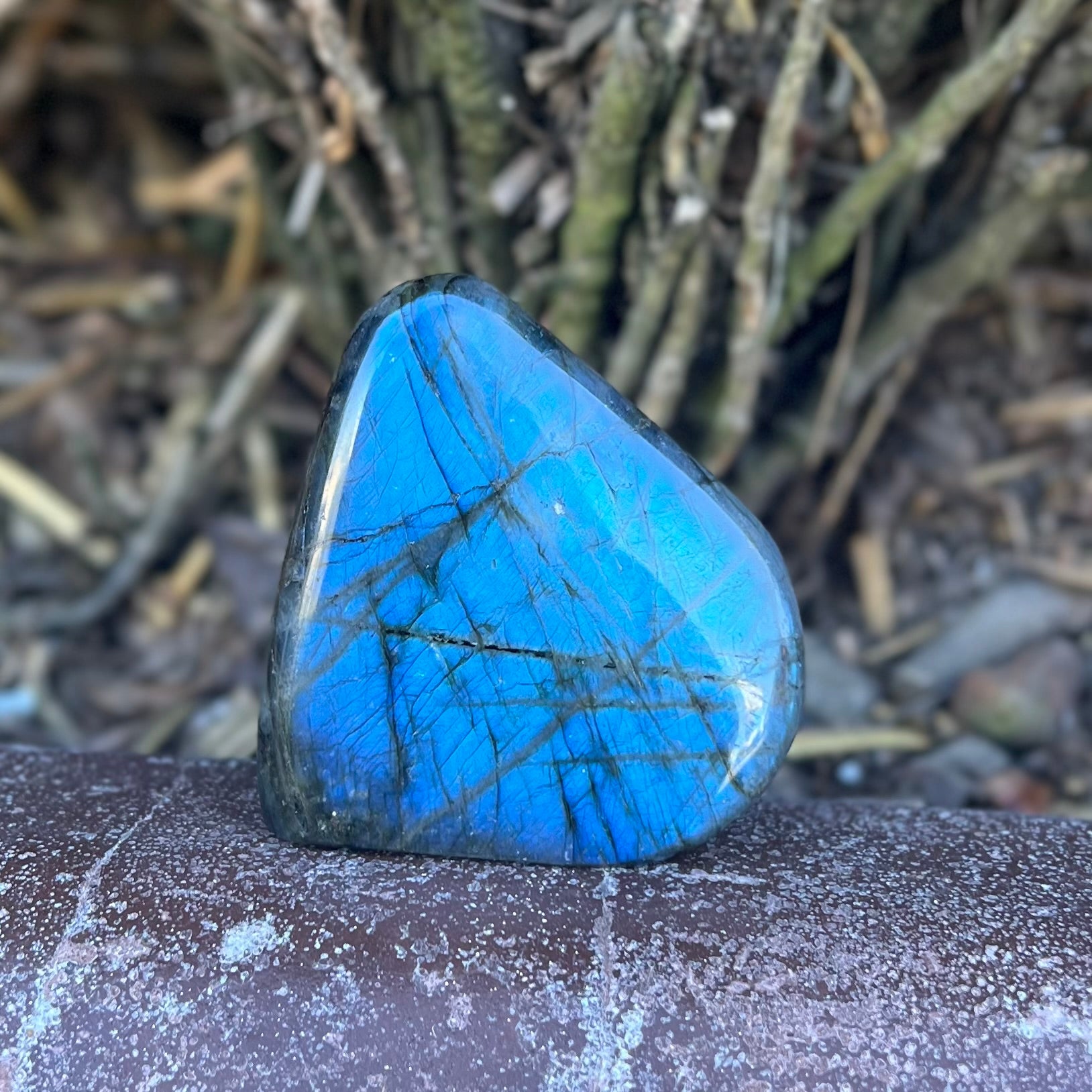 Labradorite Freeform ~ 1