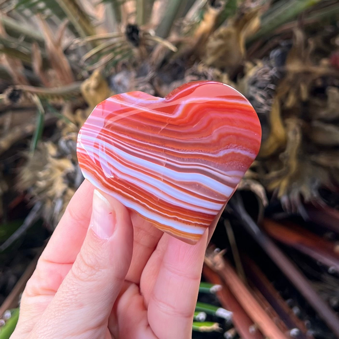 Carnelian Heart