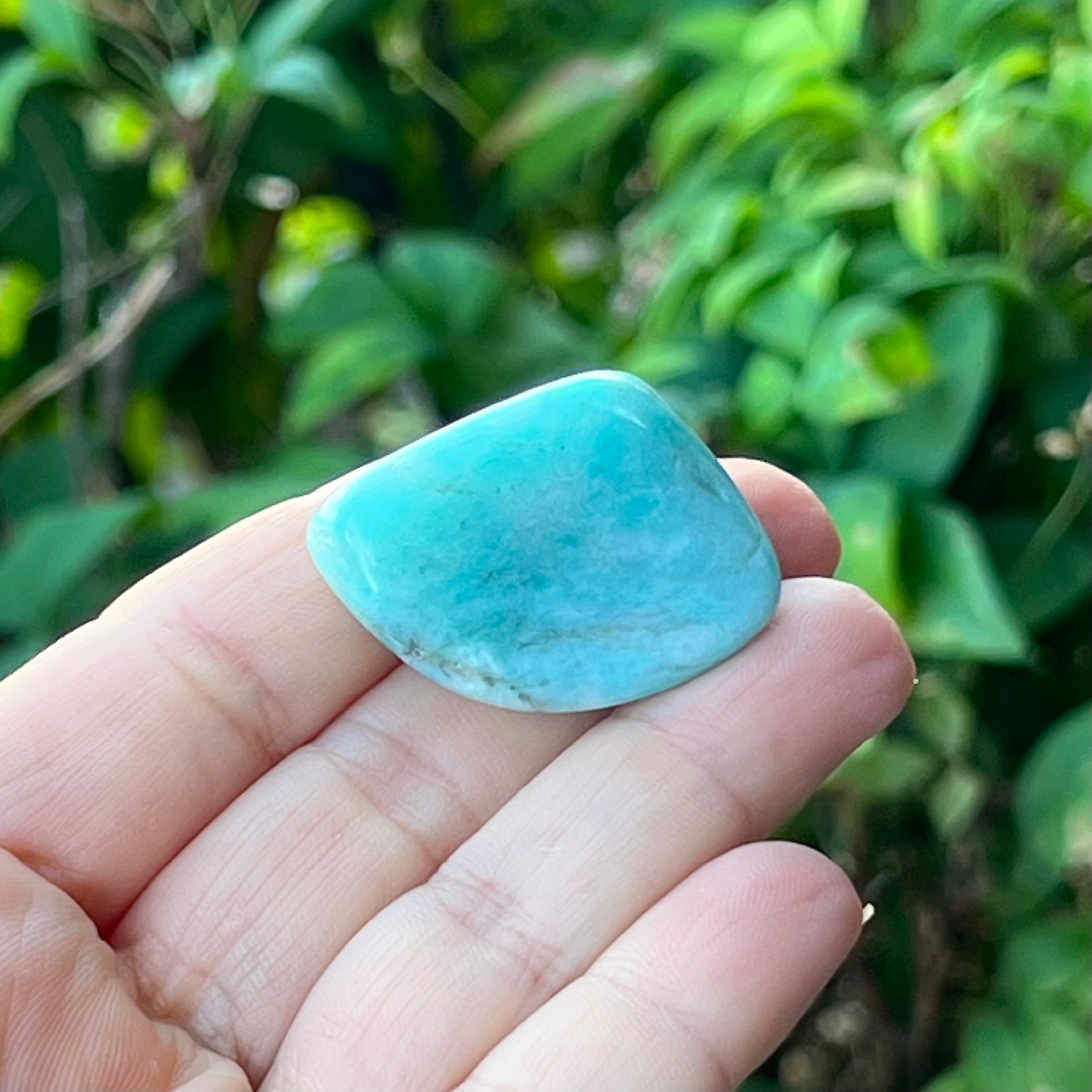 Amazonite ~ Specialty Boxed Crystal