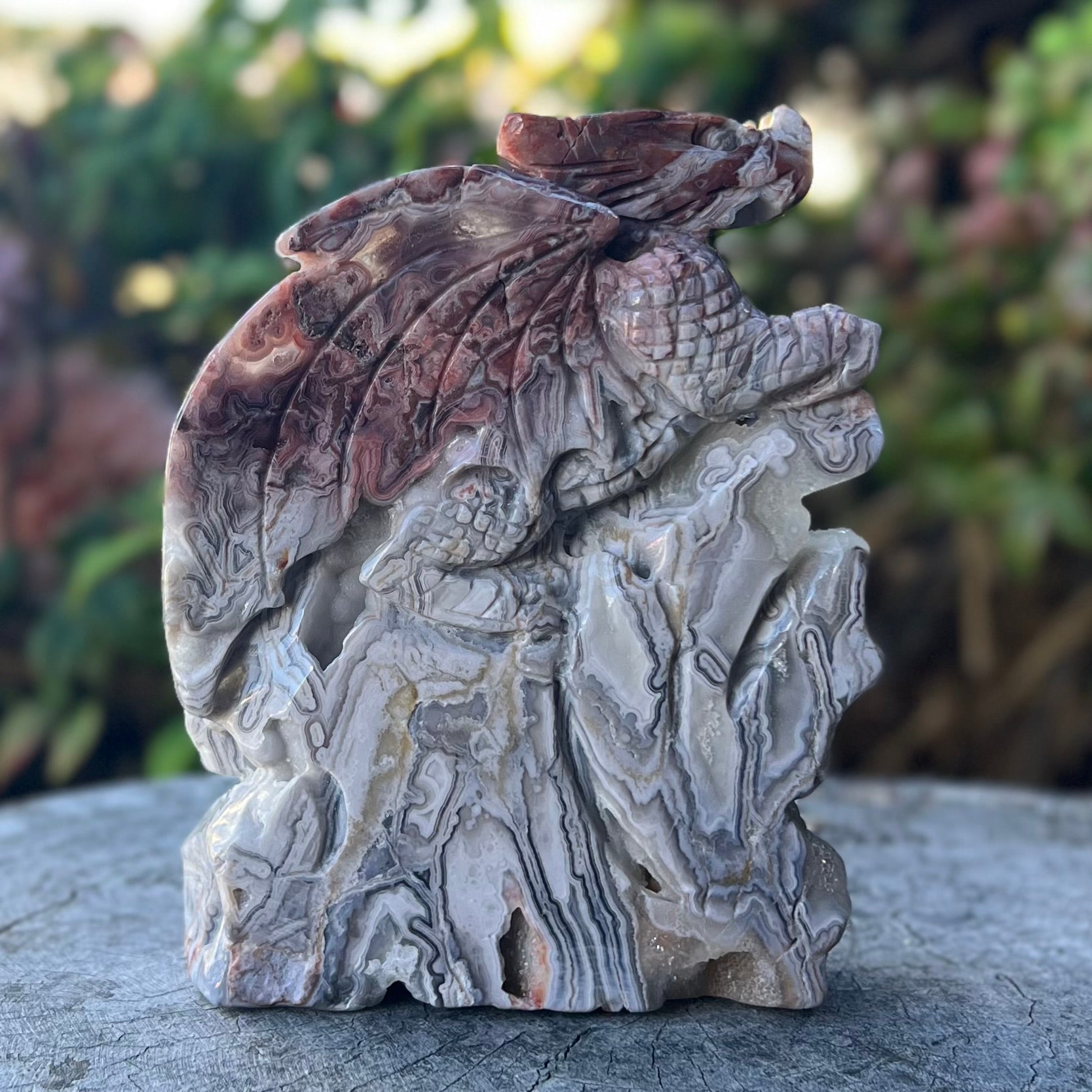 Crazy Lace Agate Dragon Carving