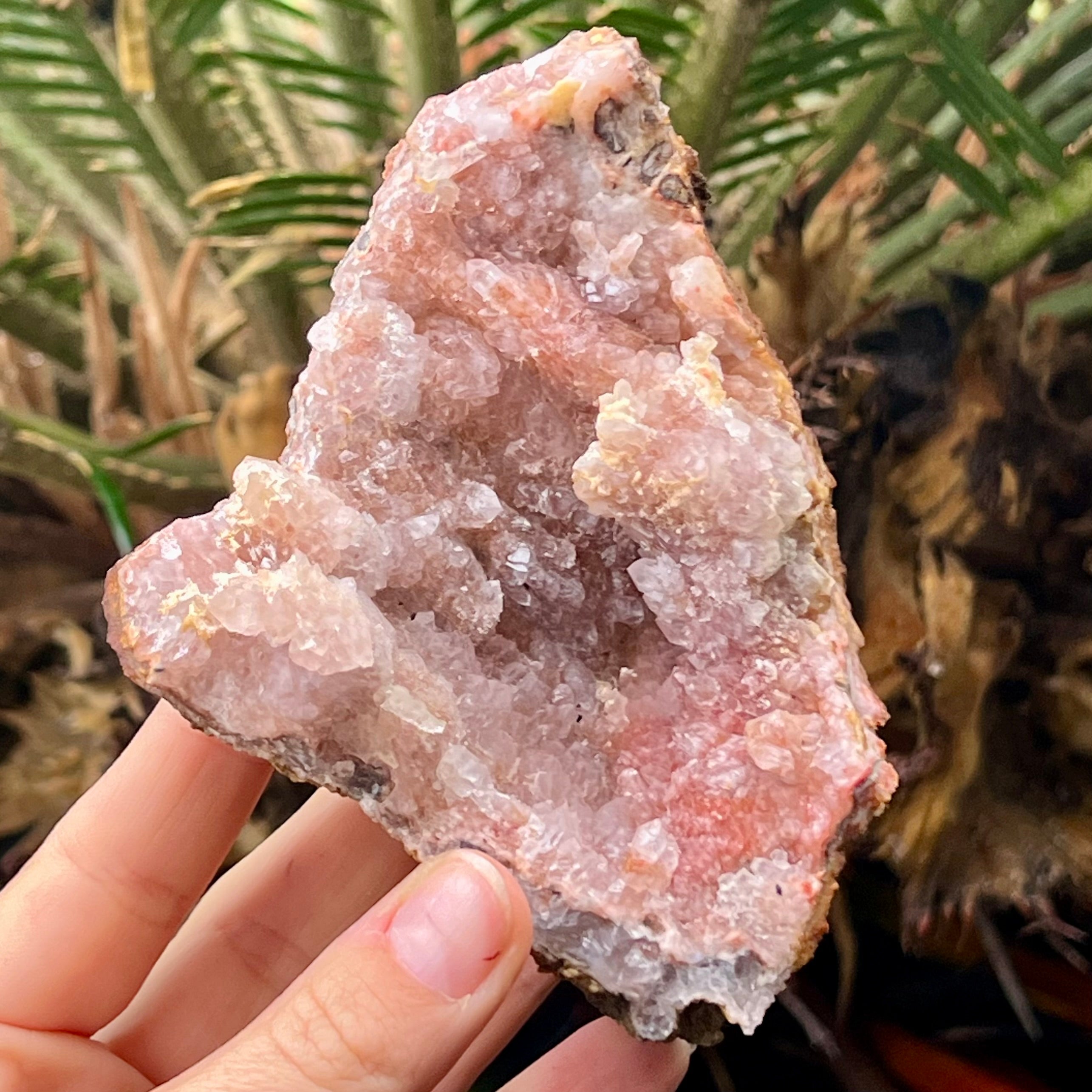 Pink Amethyst Cluster