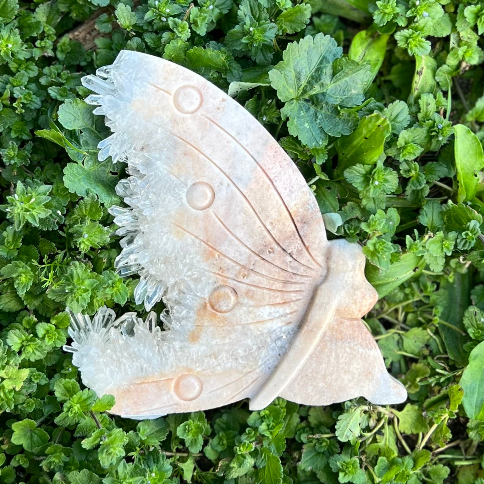 Clear Quartz Butterfly Carving (2)