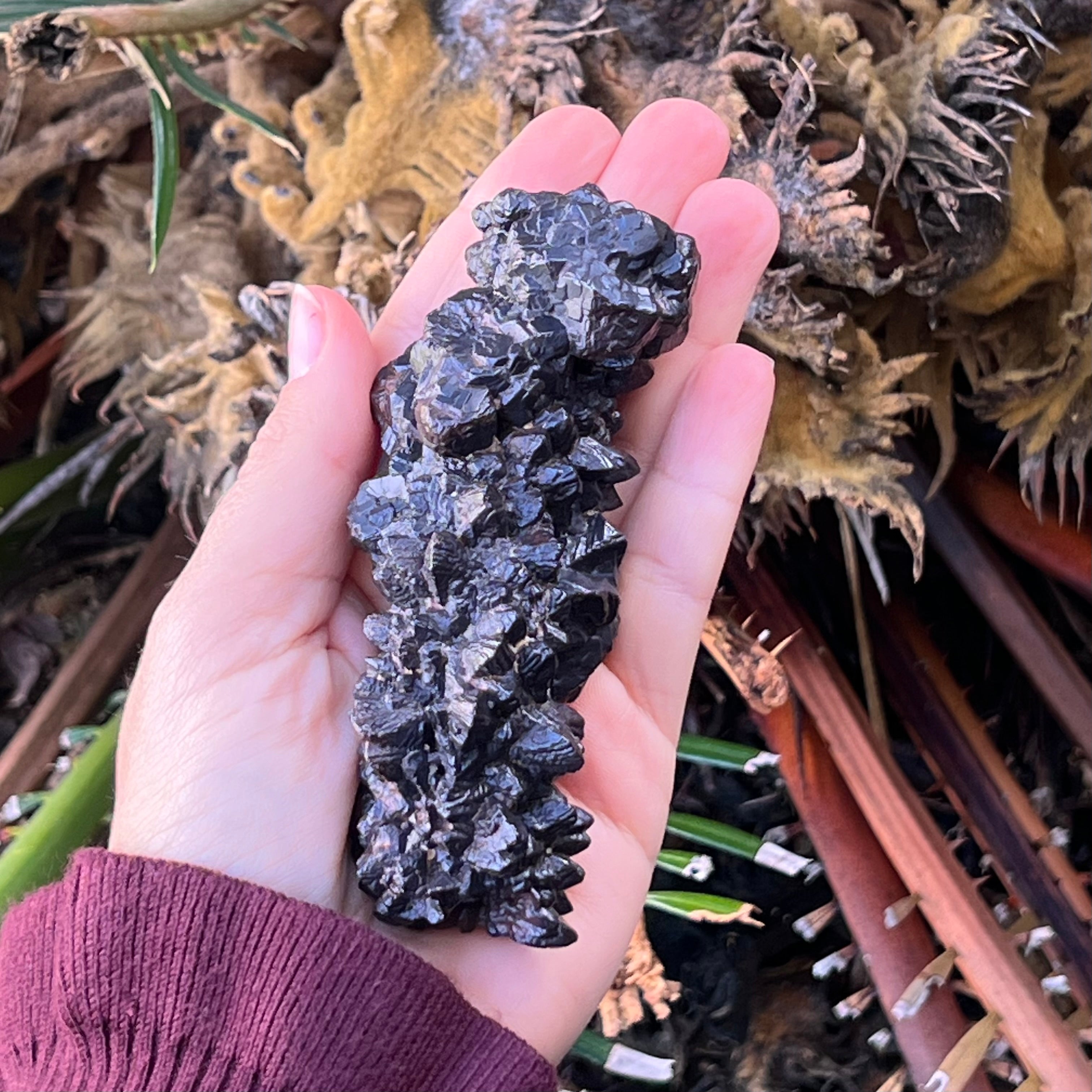 Prophecy Stone ~ Extra Large Piece