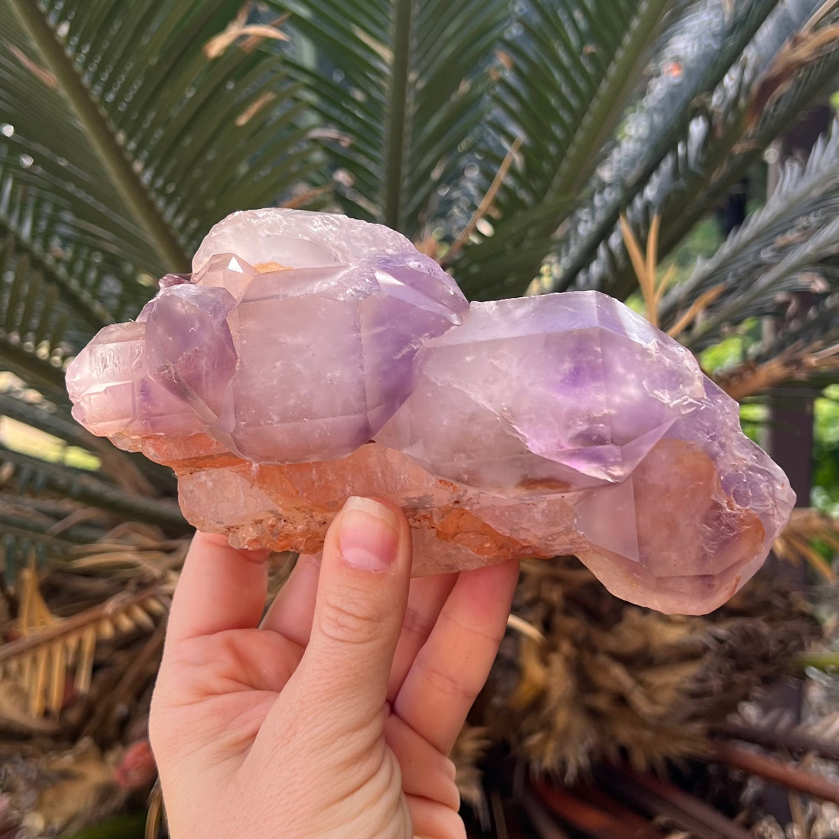 Amethyst Cluster on Stand
