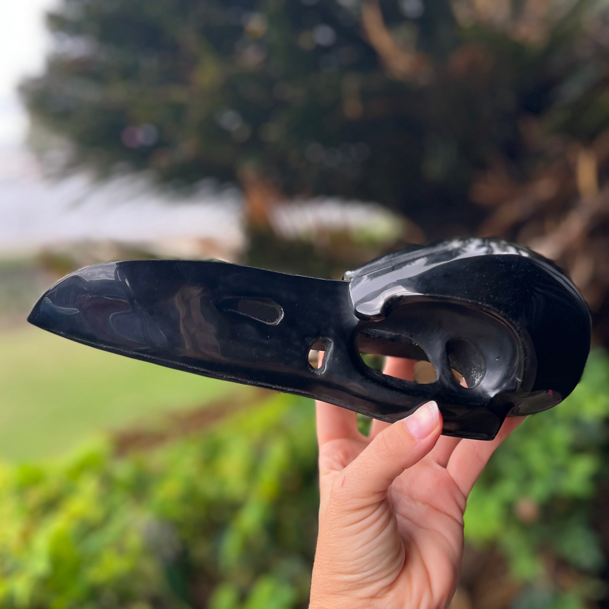Raven Skull Carving ~ Black Obsidian