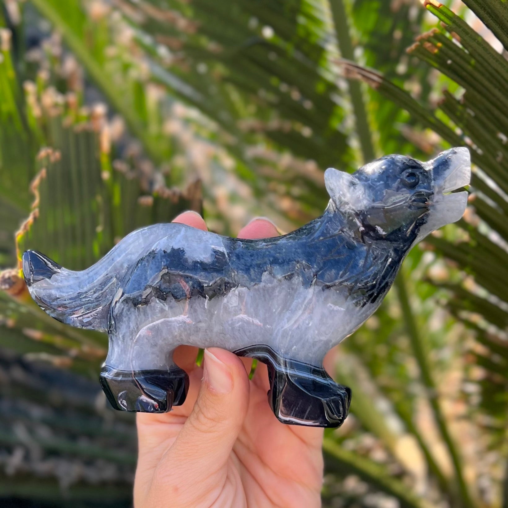 Black Agate ~ Wolf Carving ~ Medium