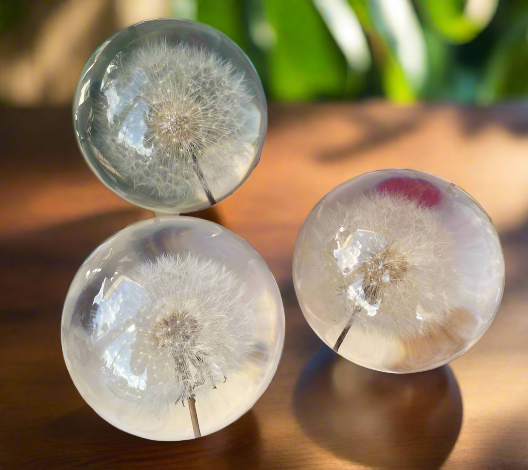 Dandelion Everlasting Flower Sphere with Free Stand