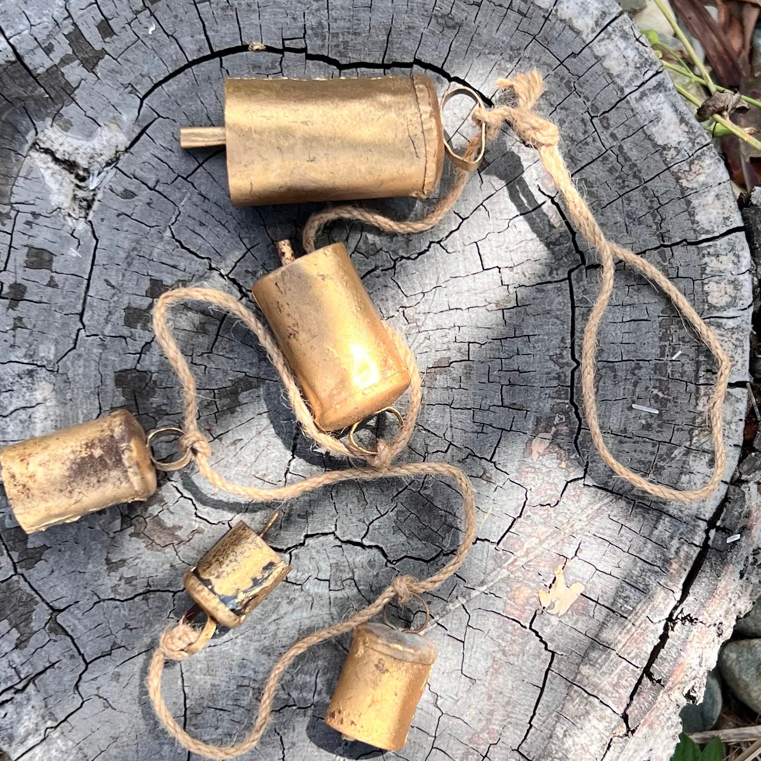 Protection Cow Bells