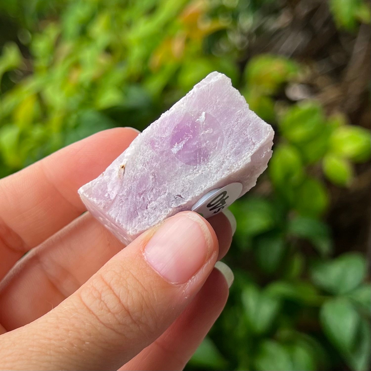 Kunzite ~ Specialty Crystal