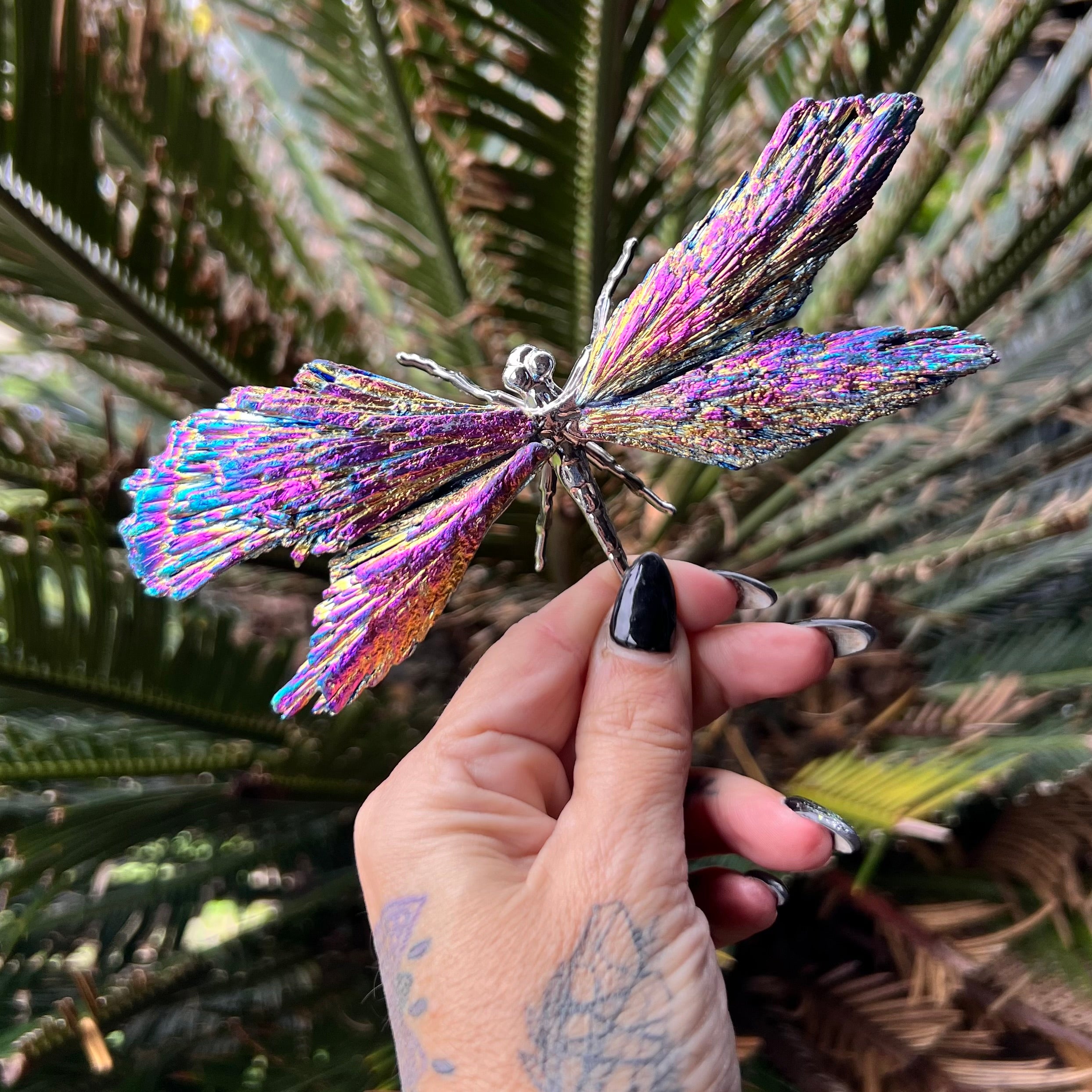 Dragon Fly ~ Rainbow Kyanite Electroplate