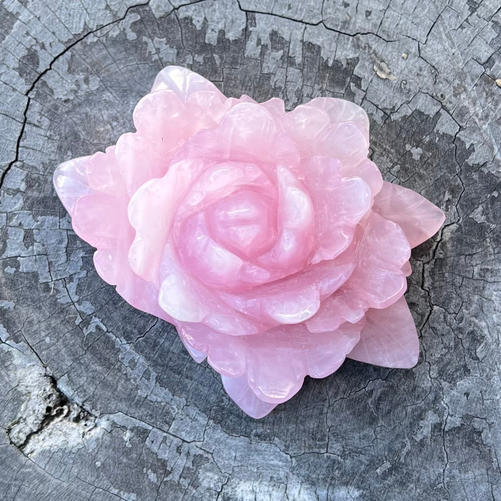Rose Quartz Rose Carving - Large