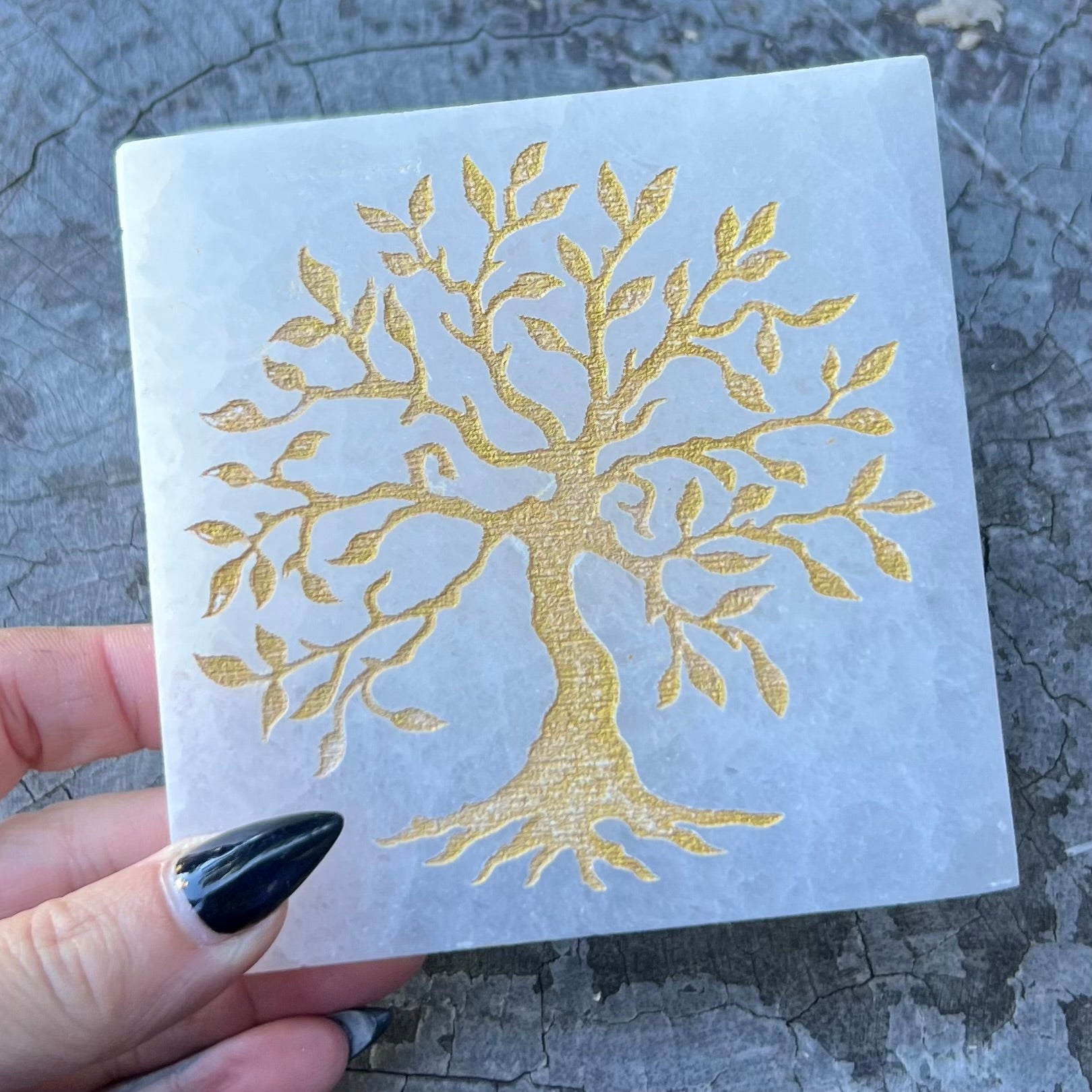 Selenite Cleansing & Charging Plate ~ Tree of Life