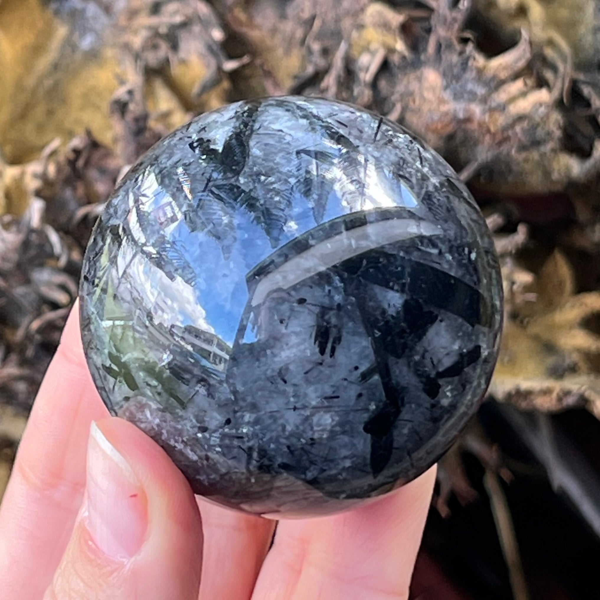 Black Tourmaline in Quartz Sphere