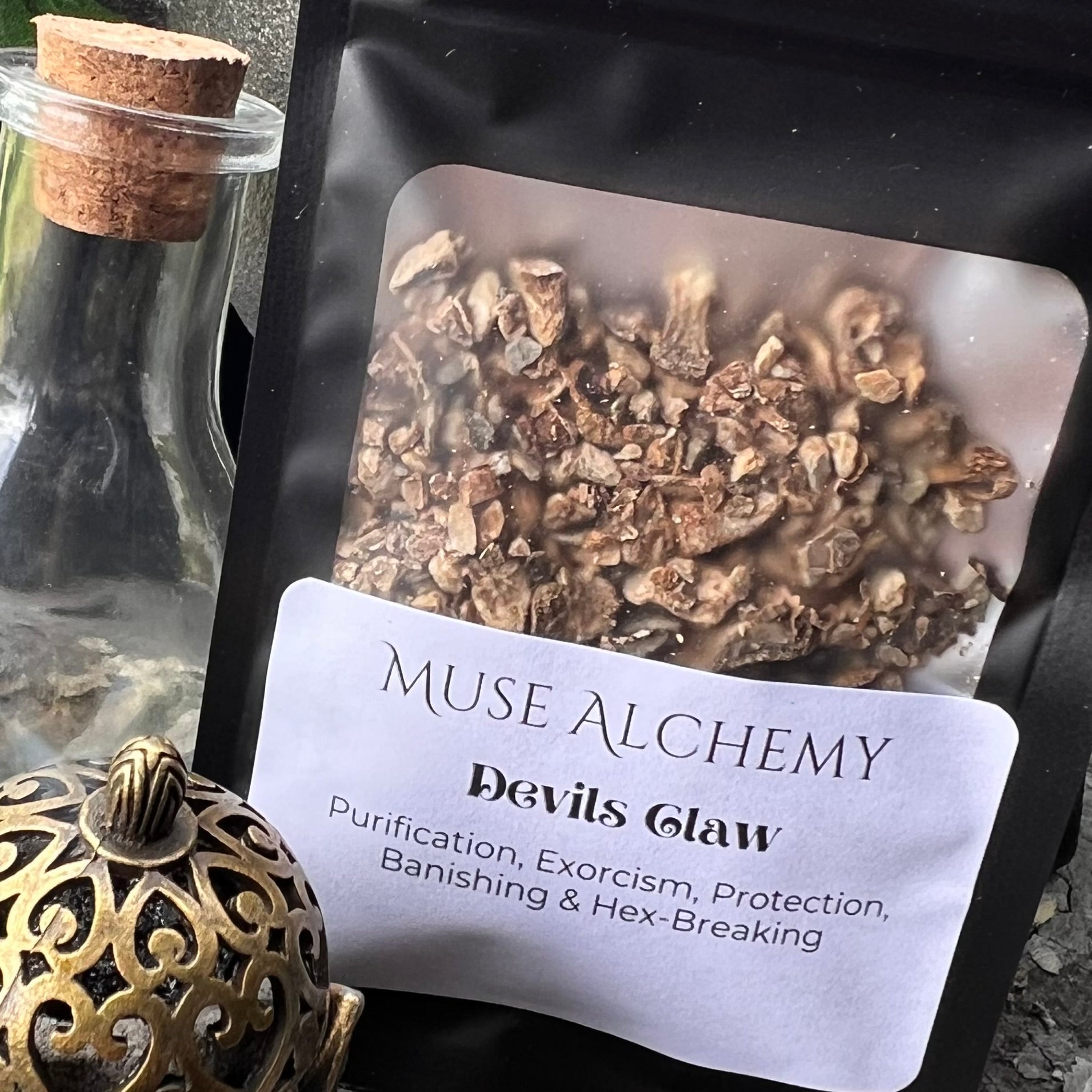 Devils Claw ~ Muse Alchemy Botanicals