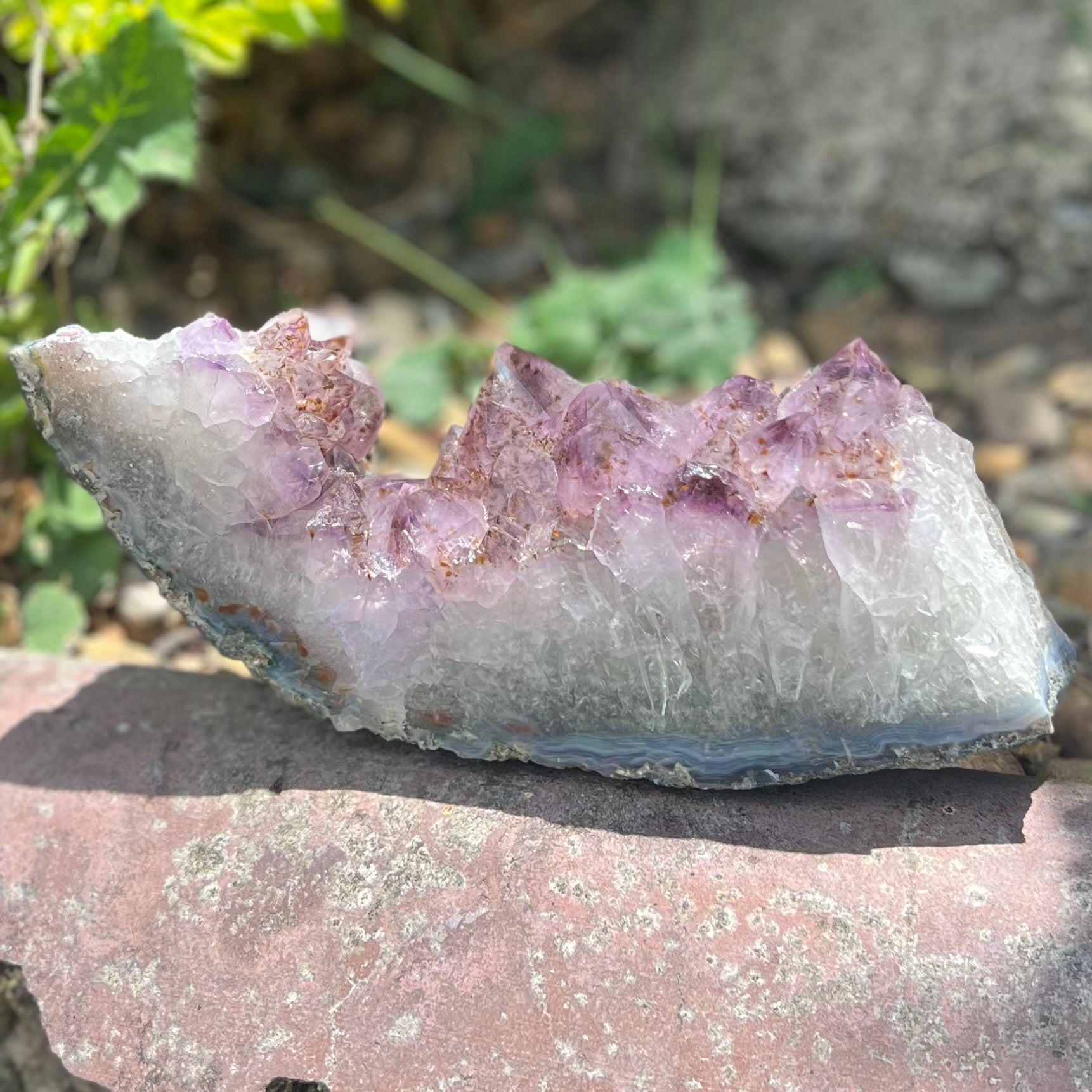 Amethyst Cluster