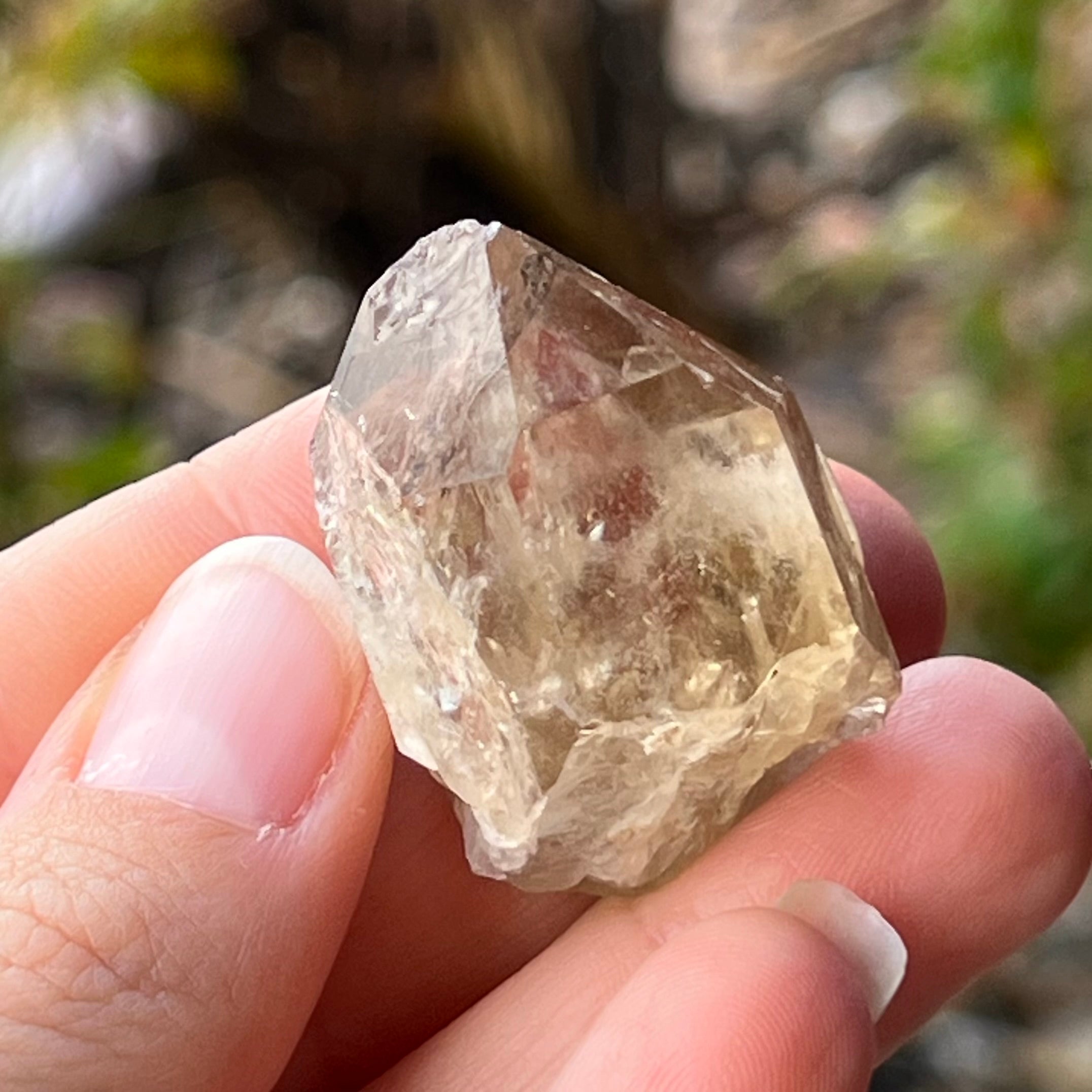 Kundalini Citrine ~ Specialty Boxed Crystal