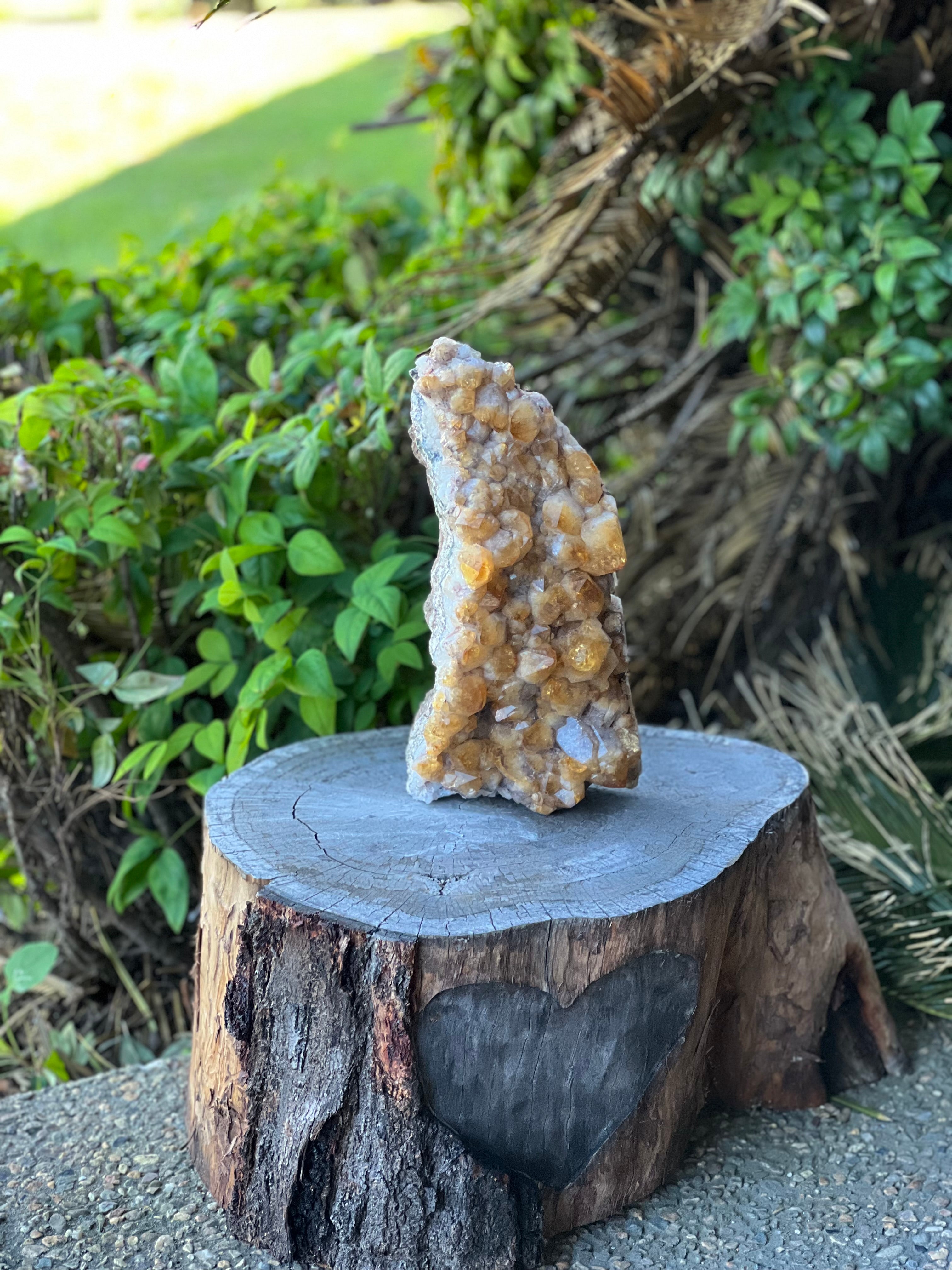 Citrine Raw Standing Cluster