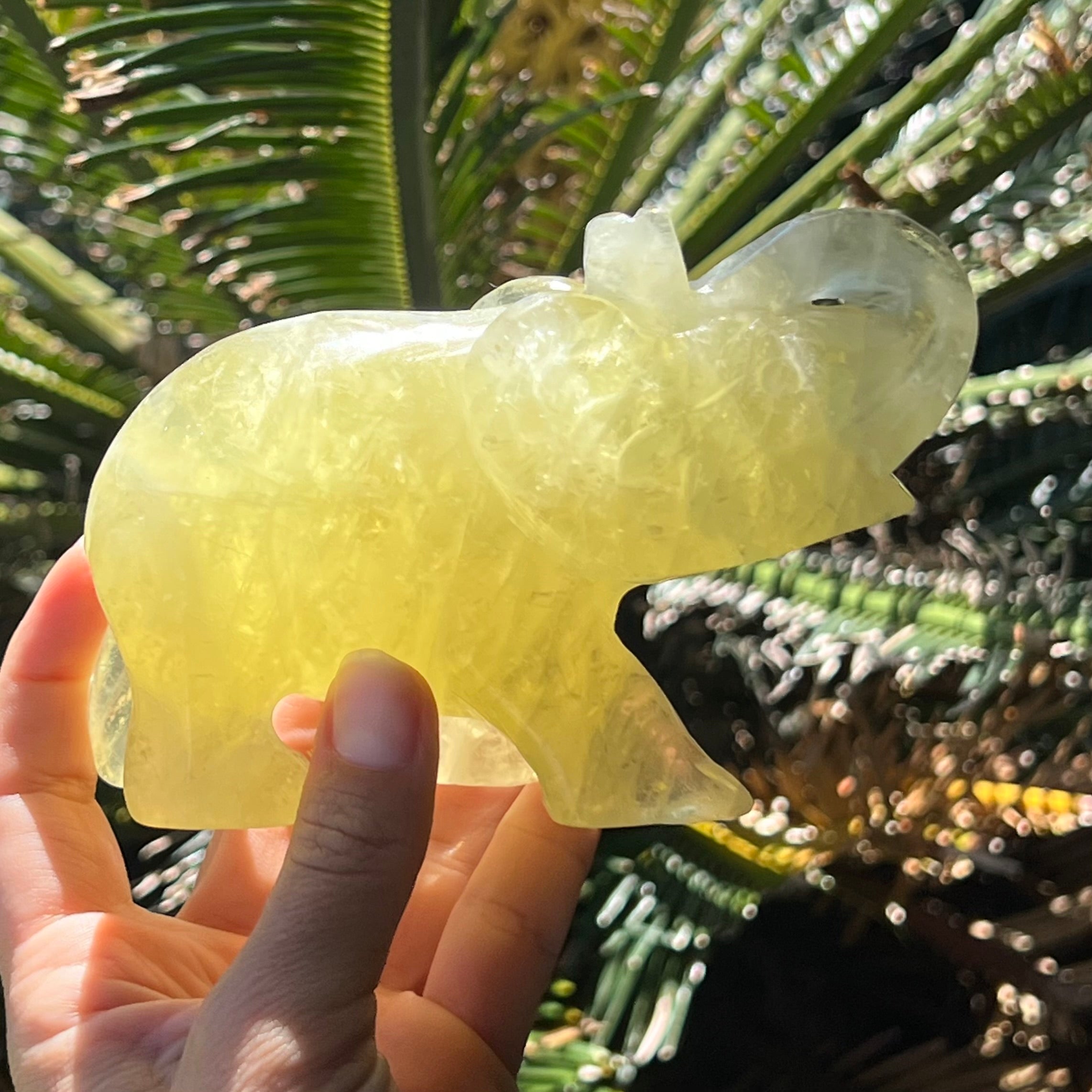 Lucky Elephant ~ Citrine