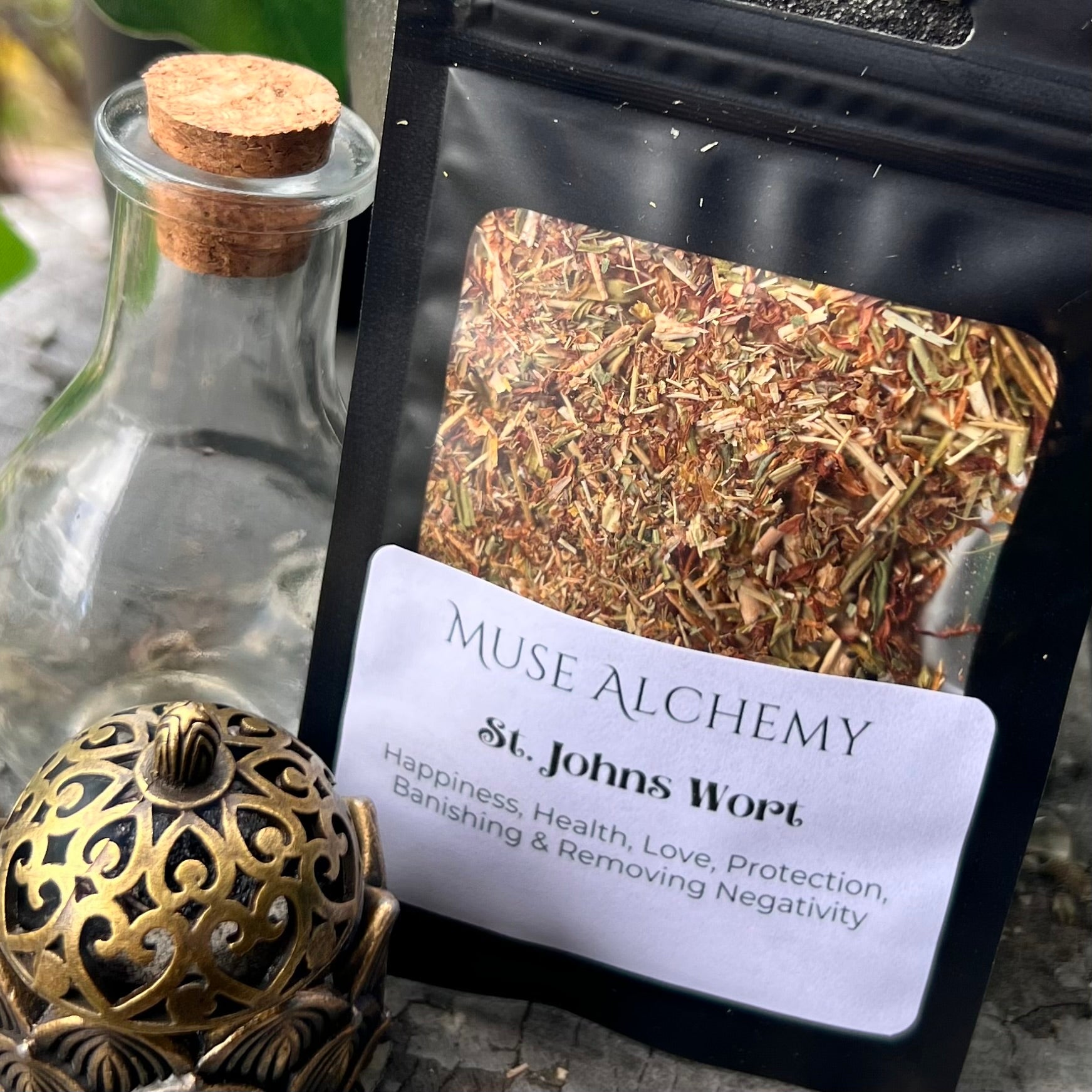 St. John’s Wort ~ Muse Alchemy Botanicals