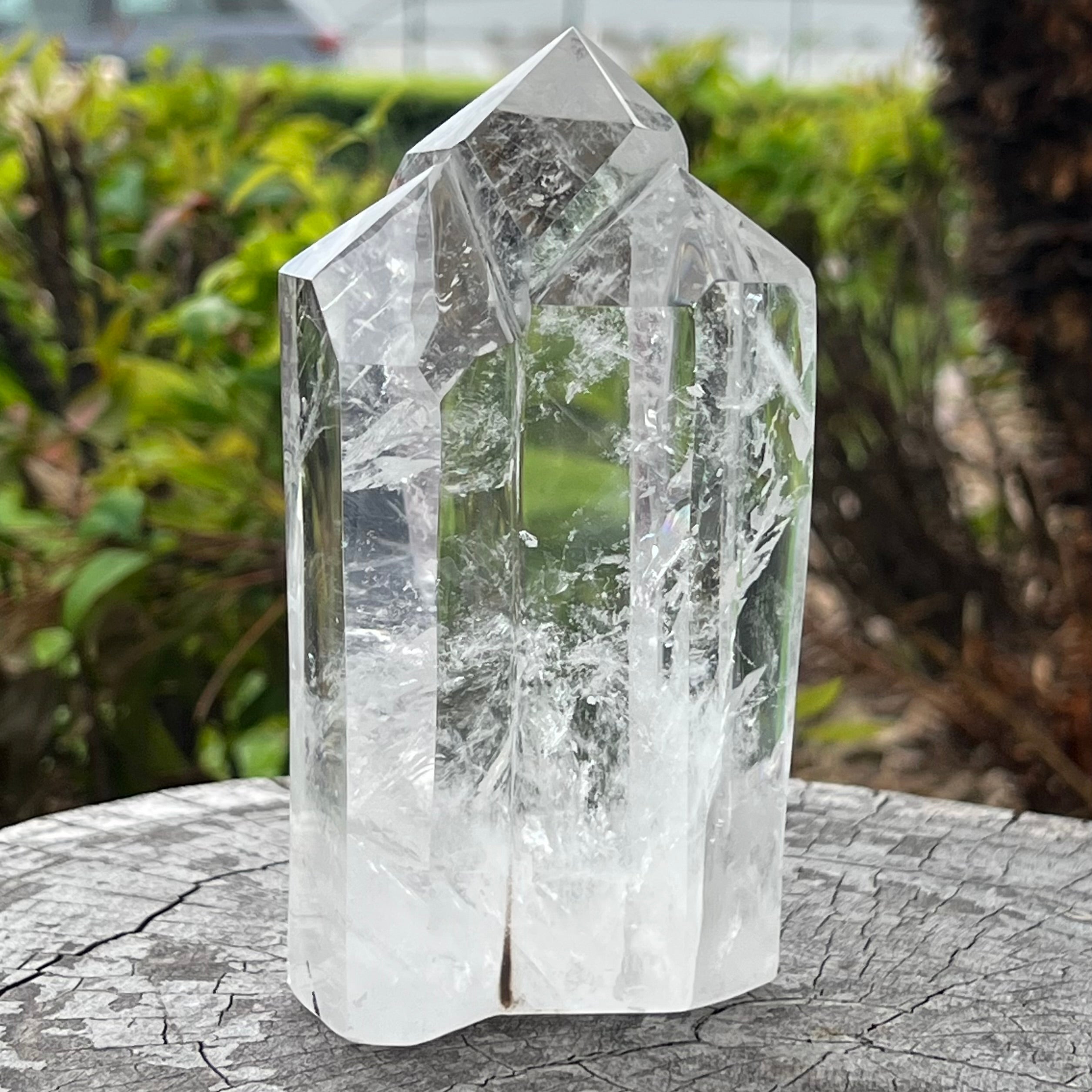Clear Quartz Family