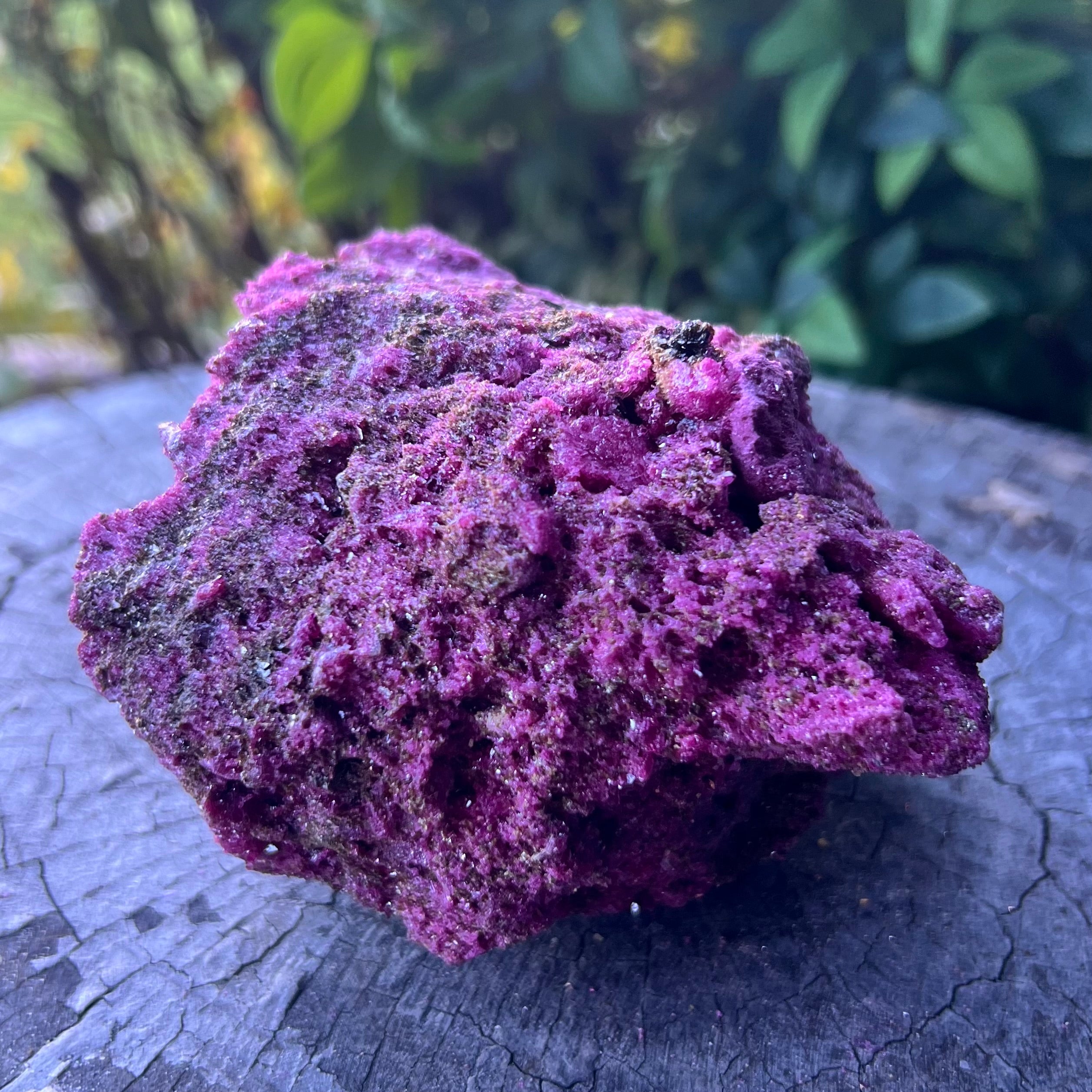 Glorious Ruby with Pyrite Specimen