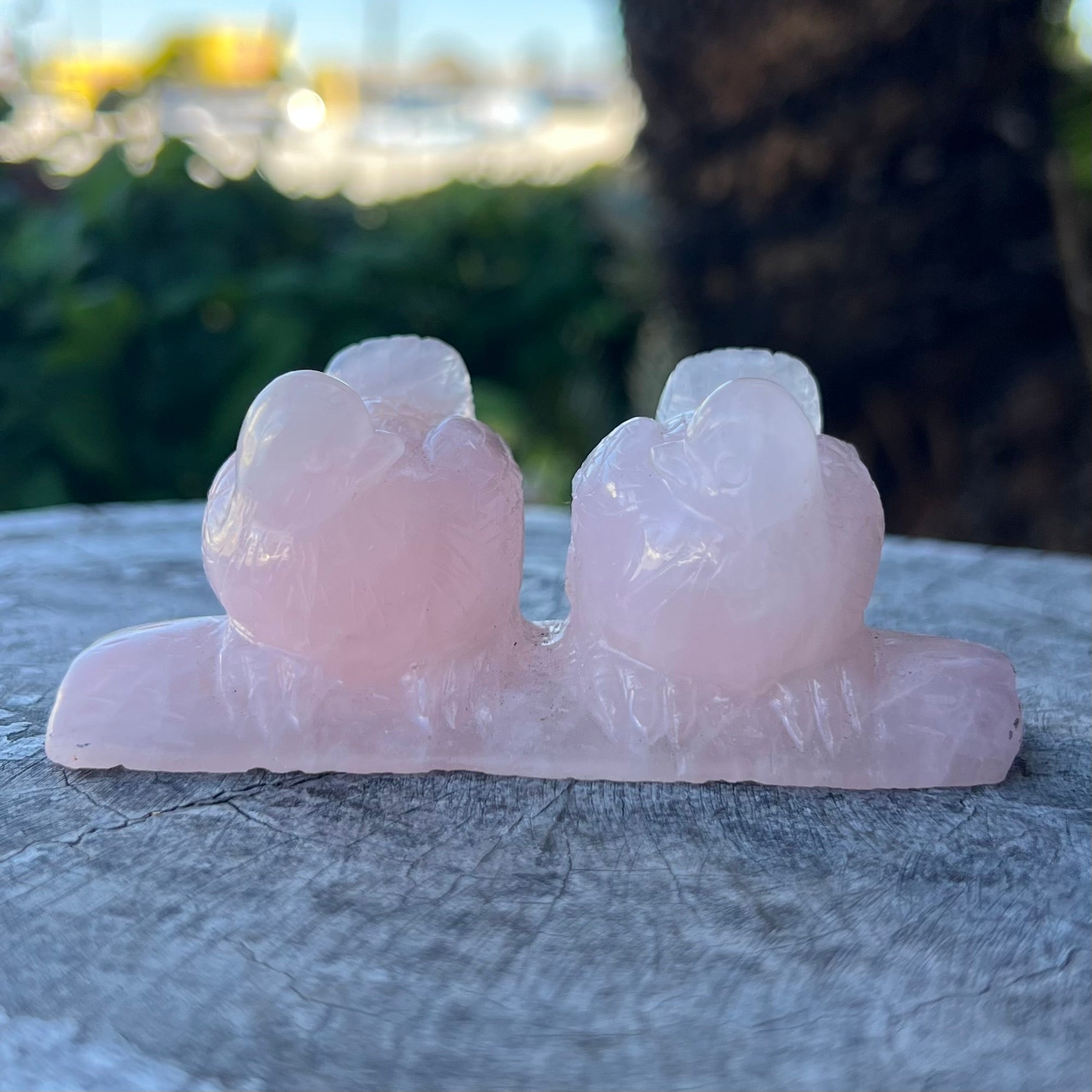 Love Birds Carving ~ Rose Quartz